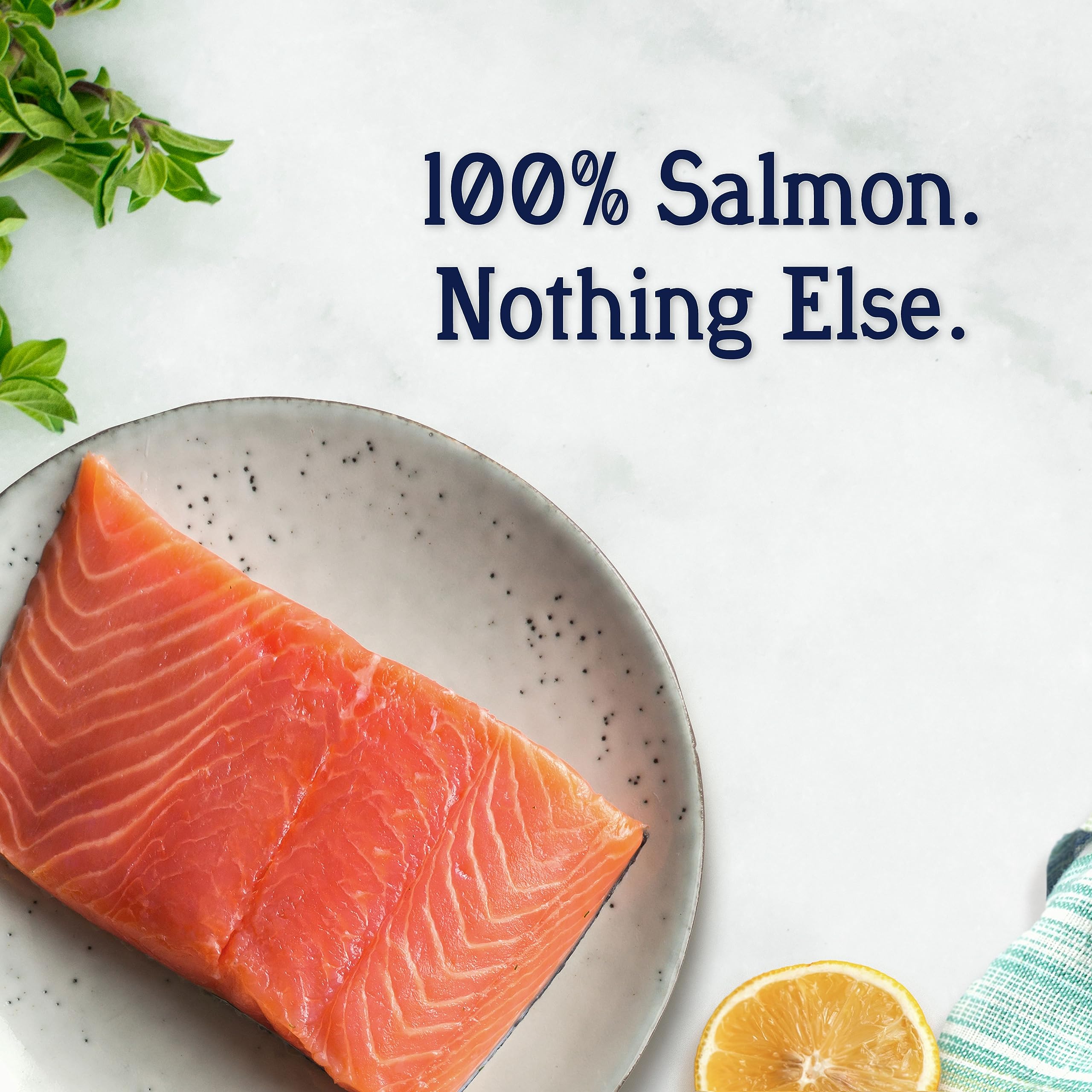 Stewart Freeze Dried Wild Salmon Treats