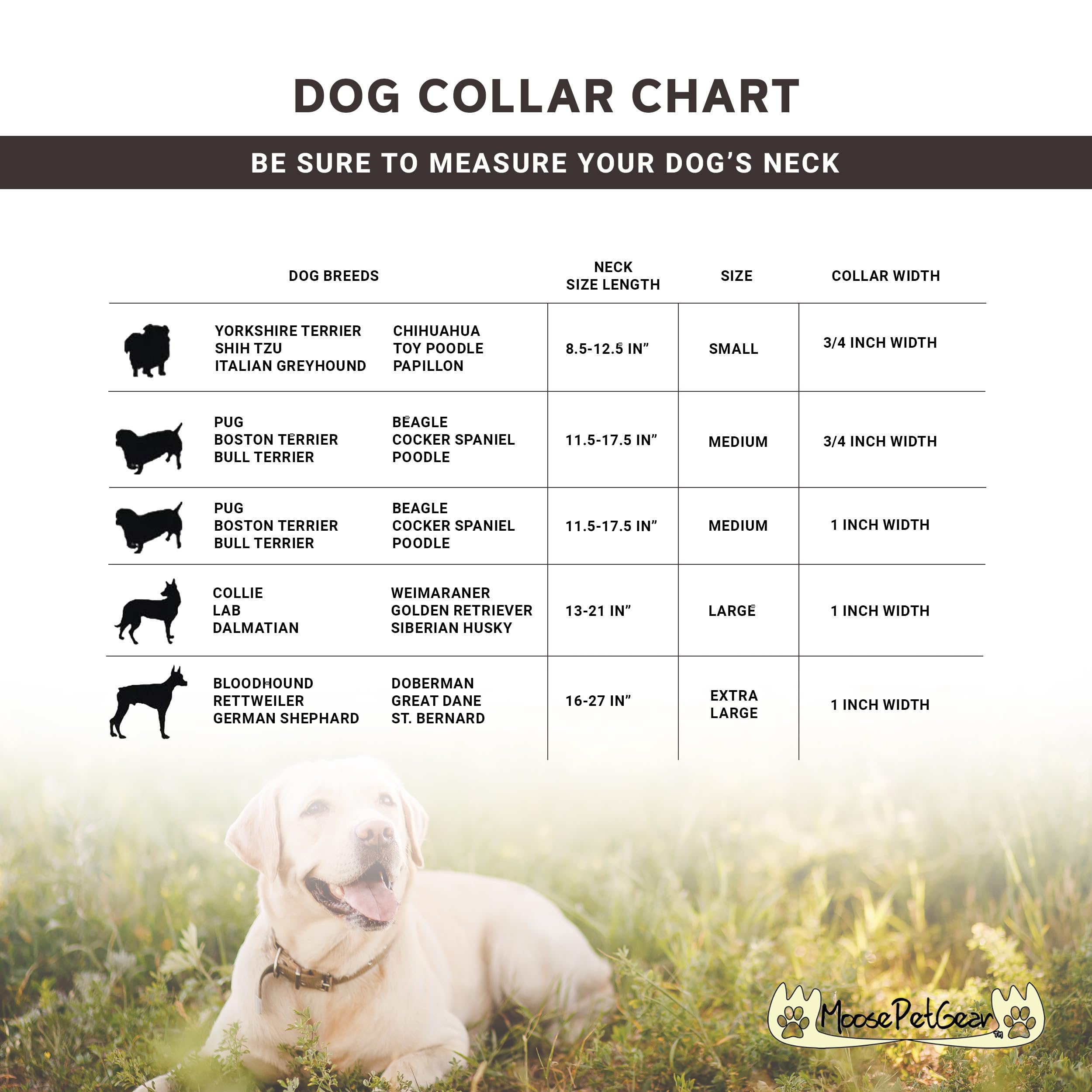 Moose Pet Wear Classic Dog Collar – Adjustable Pet Collars, 1 Inch Wide, Large, Forest Green