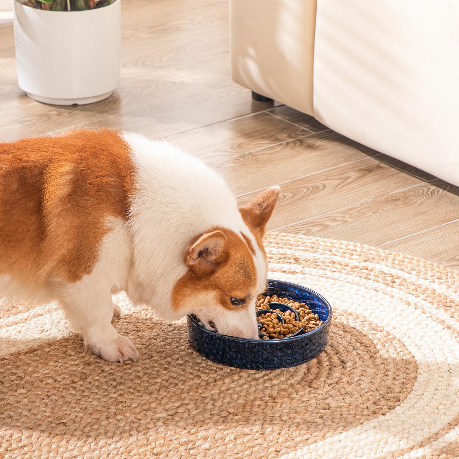 vancasso Slow Feeder Dog Bowl, 1.5 Cups, Blue Ceramic Puzzle Maze for Medium Breeds, Model VC-MSGW-HB-B-02-VIP011