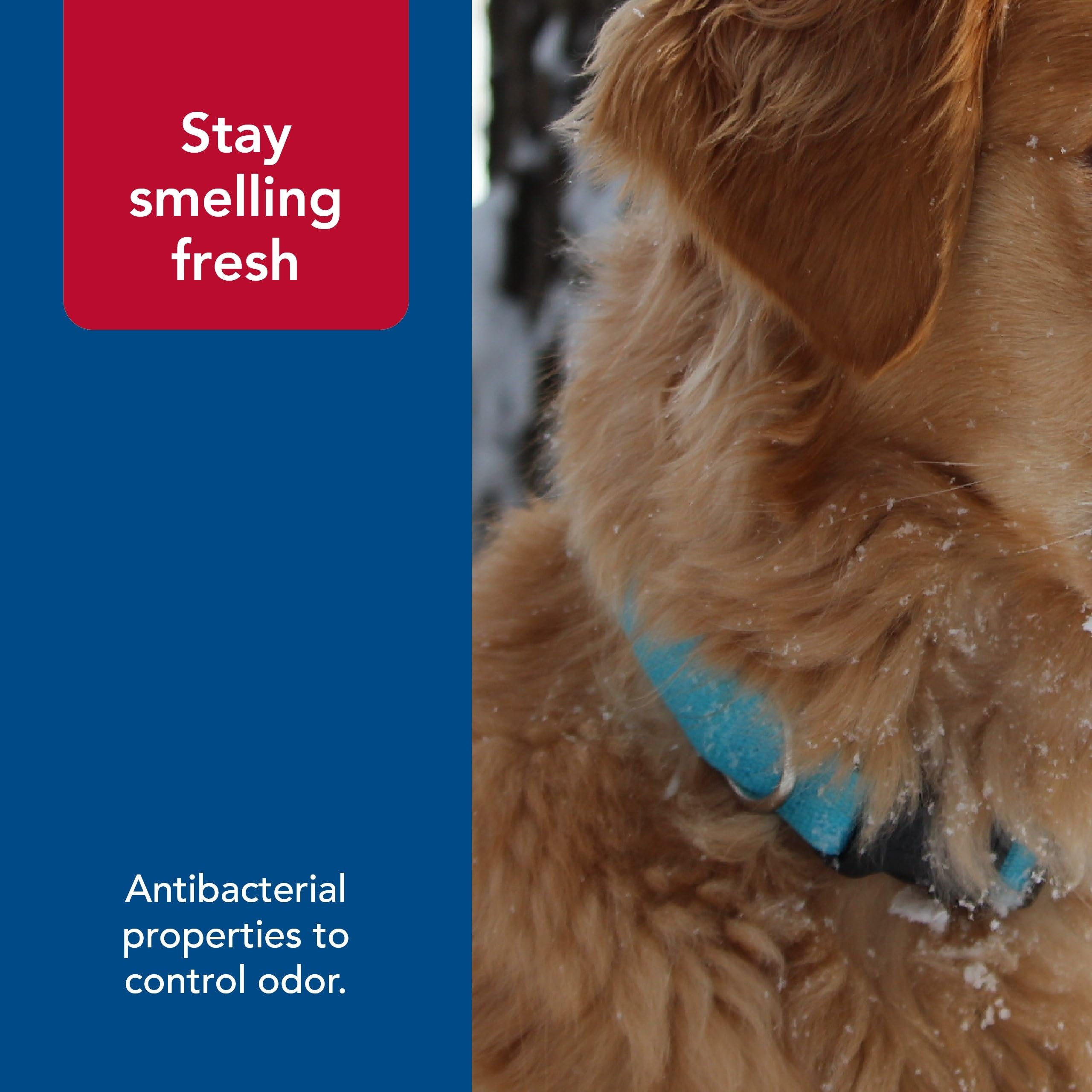 Coastal Pet - New Earth Soy - Adjustable Dog Collar, Mint, 1 x 18-26