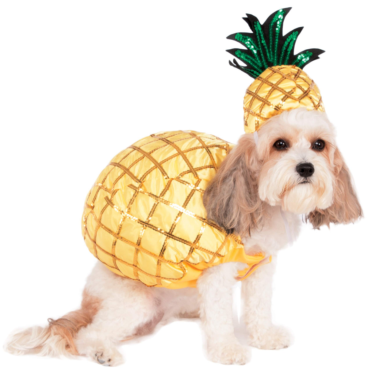 Rubie'S Pineapple Pet Costume, Large