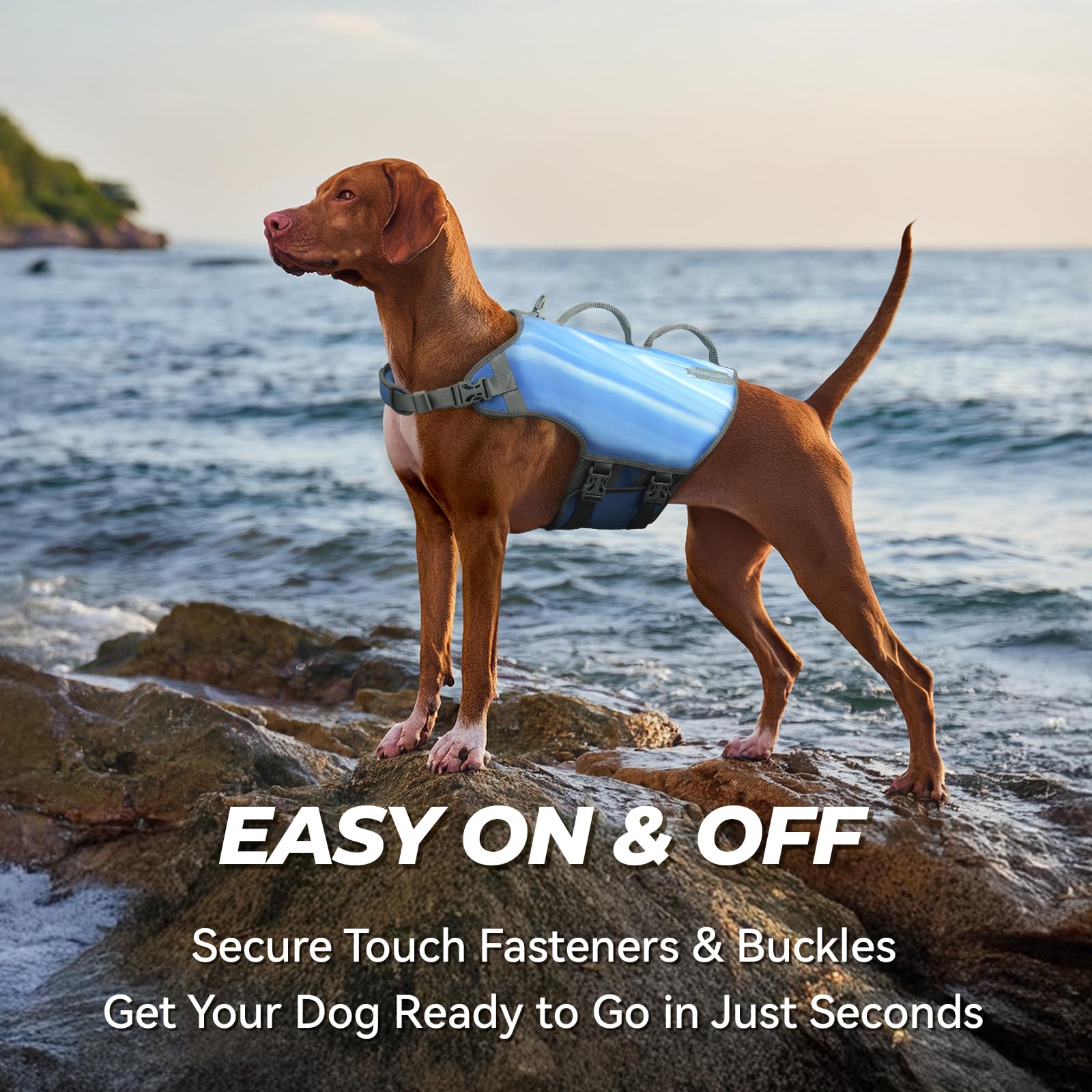 Vivaglory Neoprene Dog Life Jacket Dog Floating Vest For Boating Hunting & Swimming, Lightweight With Leash Ring, Xl, Blue Wave