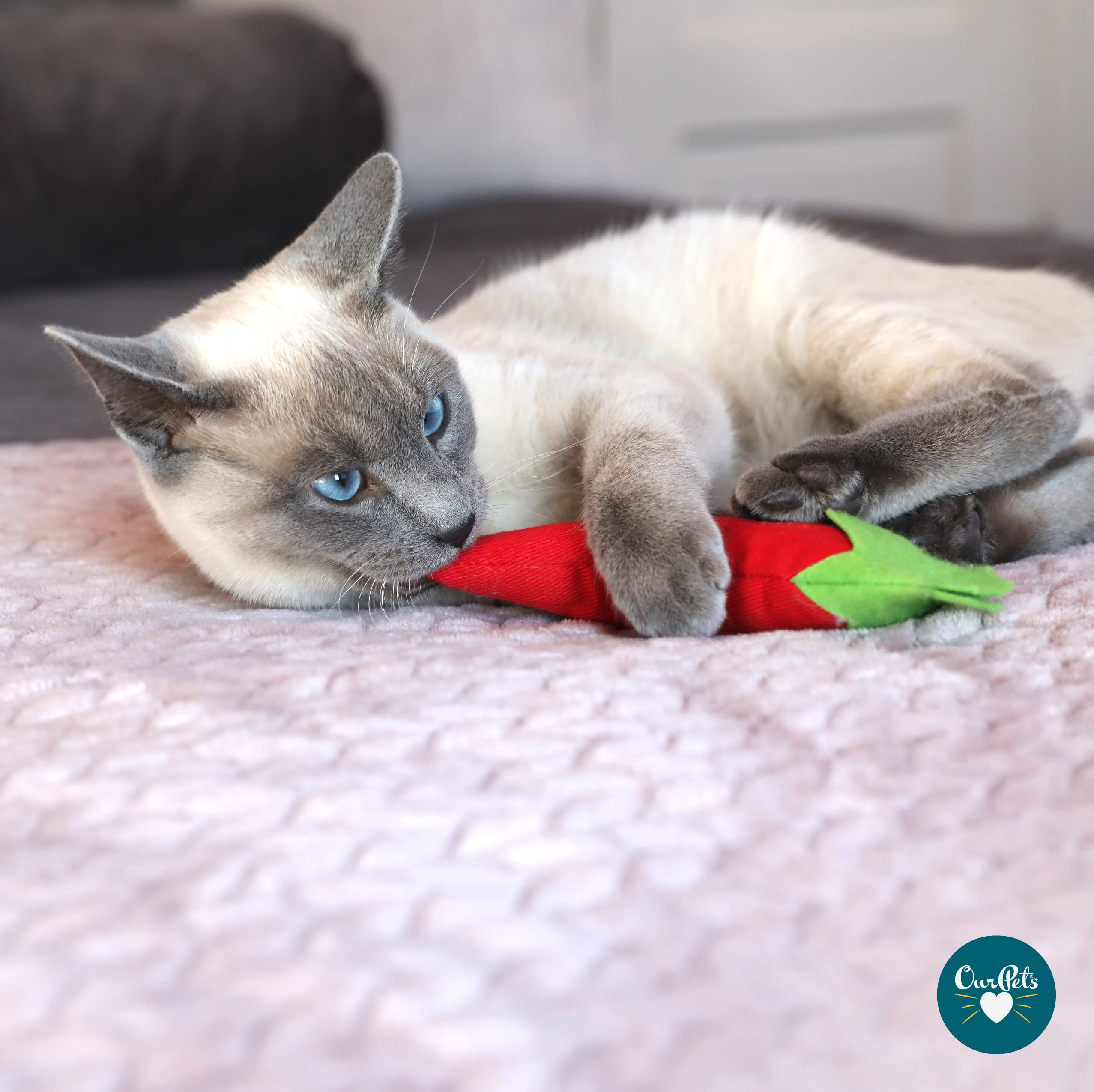 Cosmic Ourpets 100-Percent North American Catnip Filled Chili Cat Toy-Hot Stuff (Interactive Cat Toys; Catnip Toys)