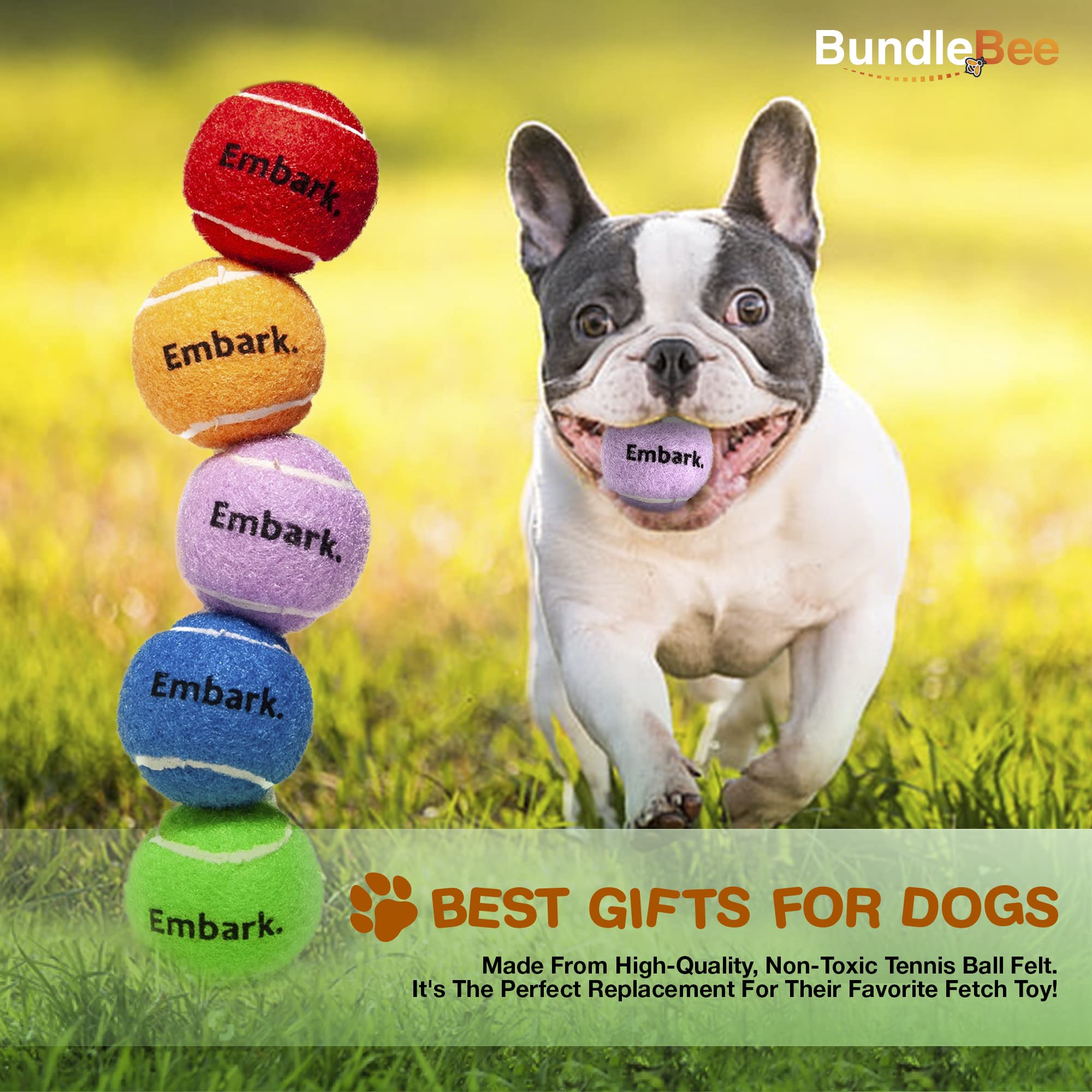 Colorful Squeaky Tennis Balls For Small Dogs And Puppies - 1.5 Inch - 12 Pack - Dog Training Toys For Positive Reinforcement, In