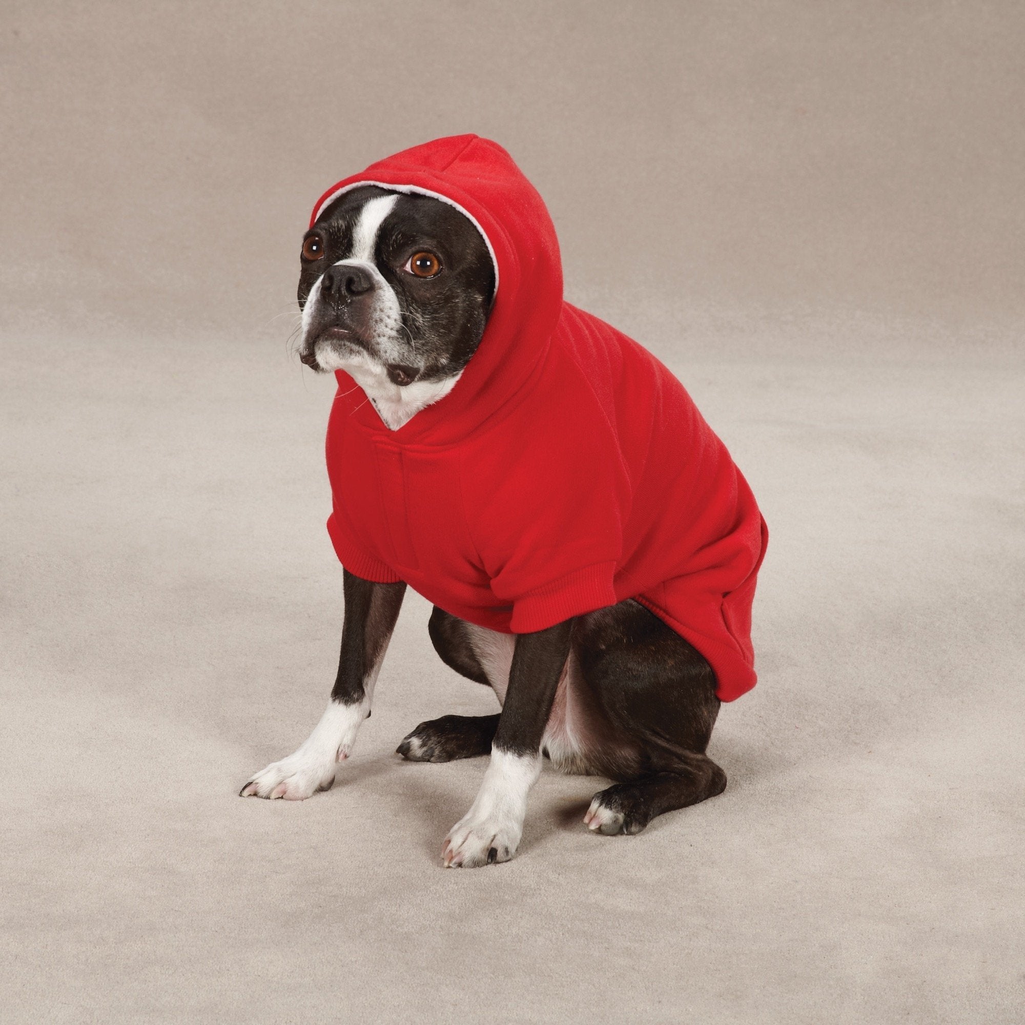 Zack & Zoey Fleece-Lined Hoodie for Dogs, 14 Small/Medium, Tomato Red