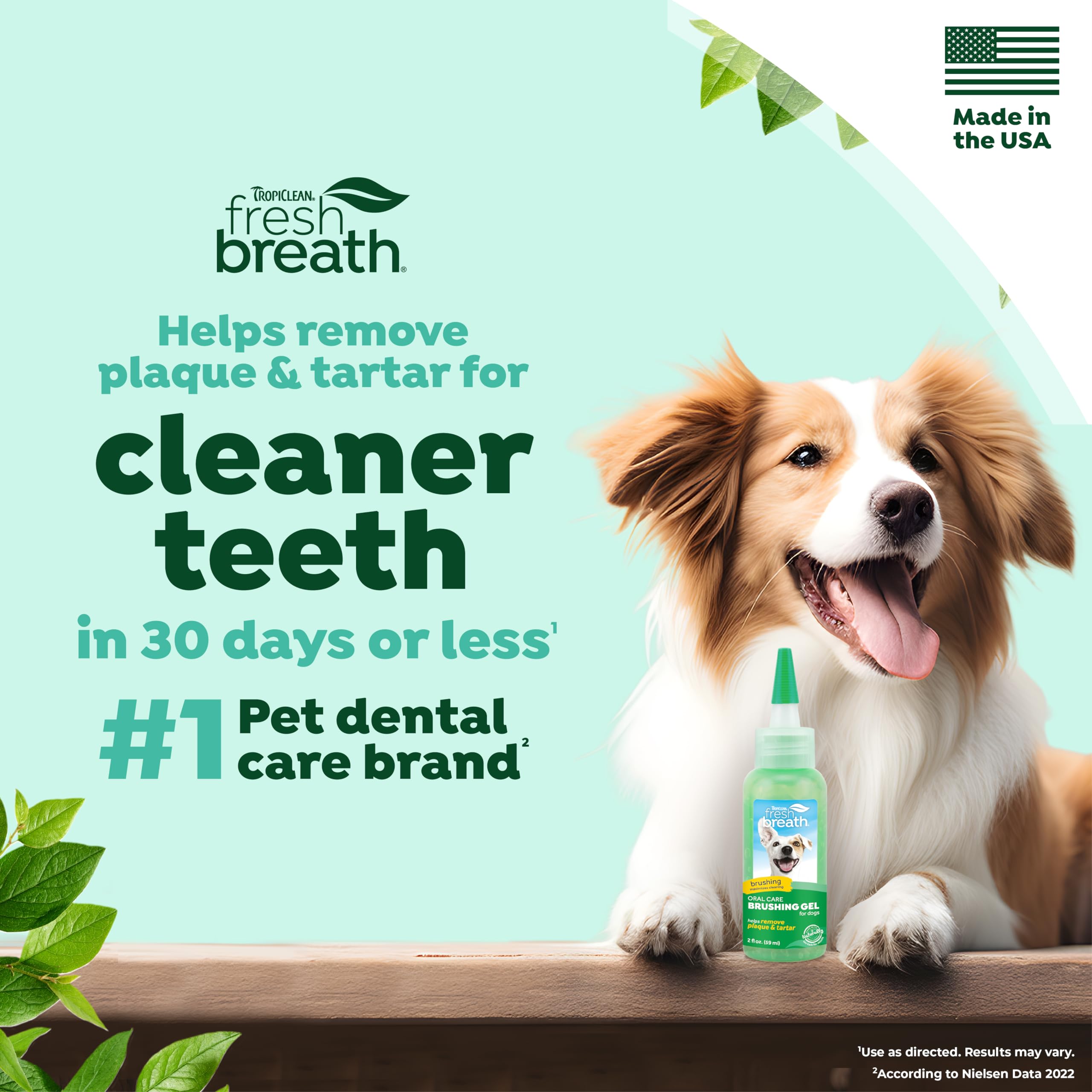 TropiClean Oral Care Brushing Gel for Dogs & Cats| Dog Toothpaste | Pet Dental Gel | Dog Teeth Cleaning Use with Pet Toothbrush