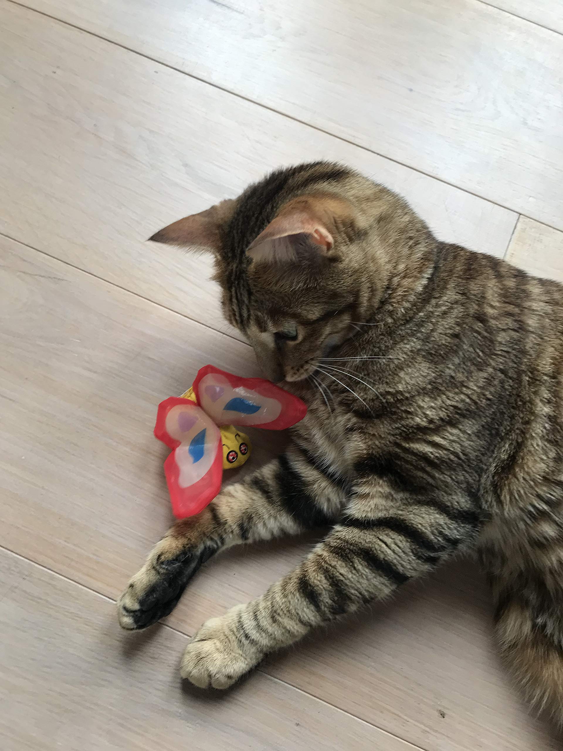 Yeowww! Organic Very Strong Crinkle Catnip Cat Toy (1 X Red L6Cm H 7Cm)