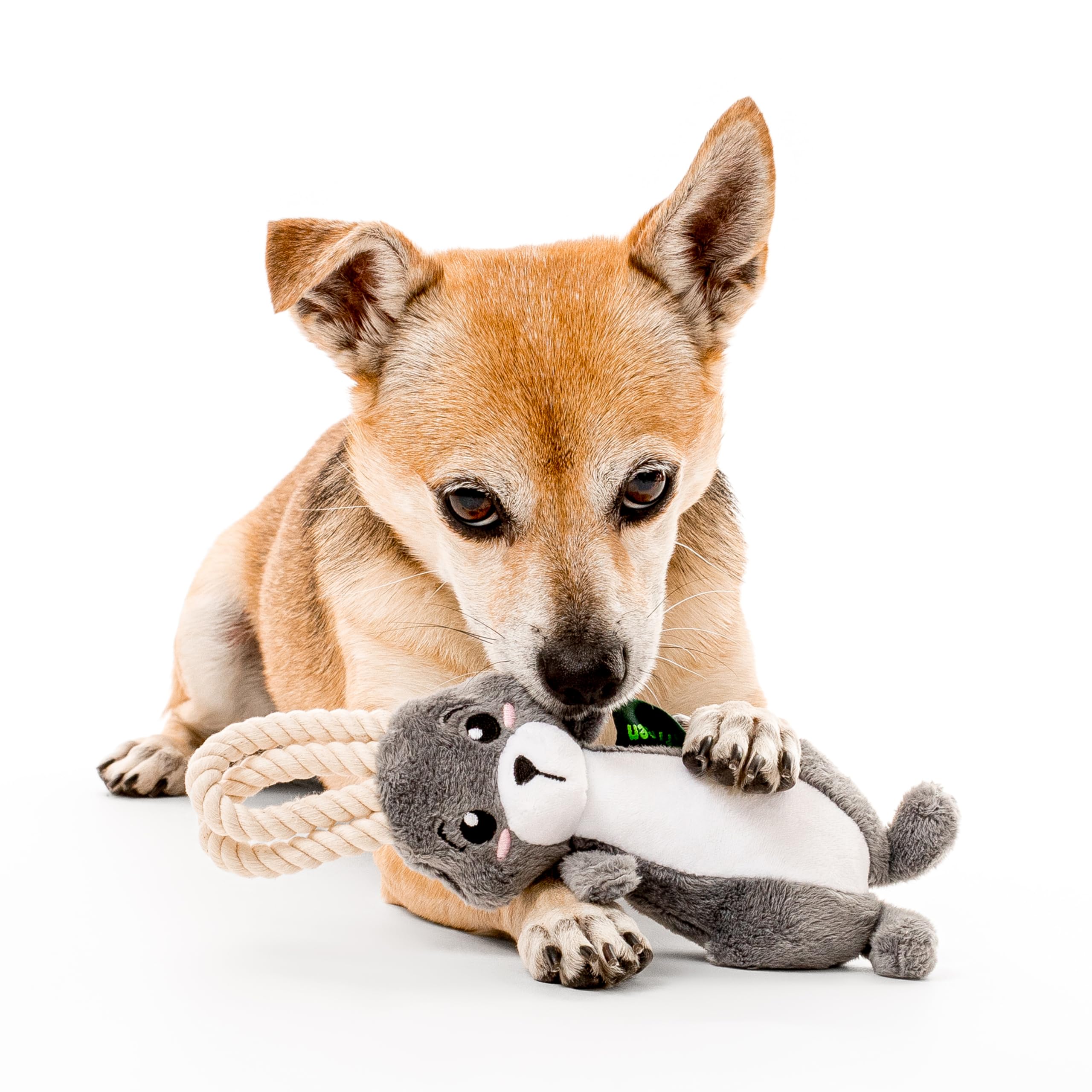 Grrreen Arctic Collection Dog Toys | Jumbo Sized Artie The Arctic Hare | Cute, Durable, & Sustainable Plush Chew Toys For Dogs 5