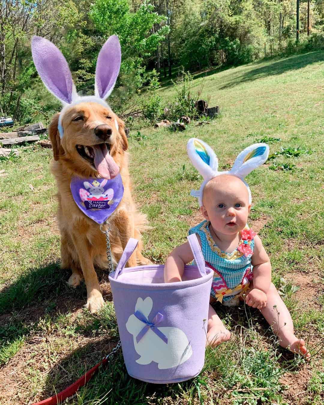 Dog Easter Ears And Bunny Dog Bandana