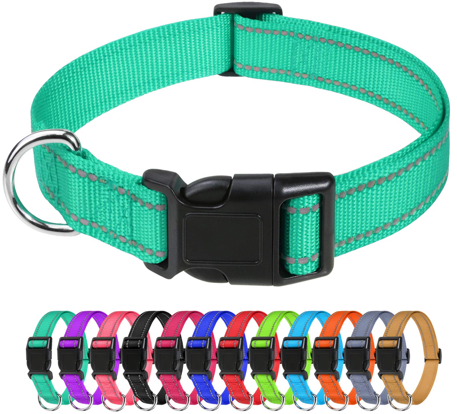 Tagme Reflective Nylon Dog Collars, Adjustable Classic Dog Collar With Quick Release Buckle For Extra Small Dogs, Turquoise, 5/8' Width