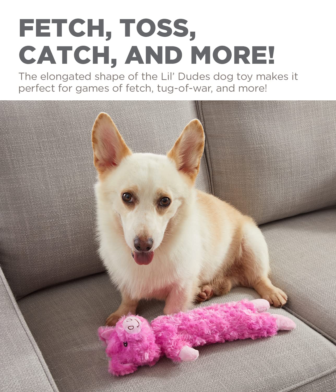 Outward Hound By Charming Pet Lil' Dudes Pig Plush Squeaky Dog Toy
