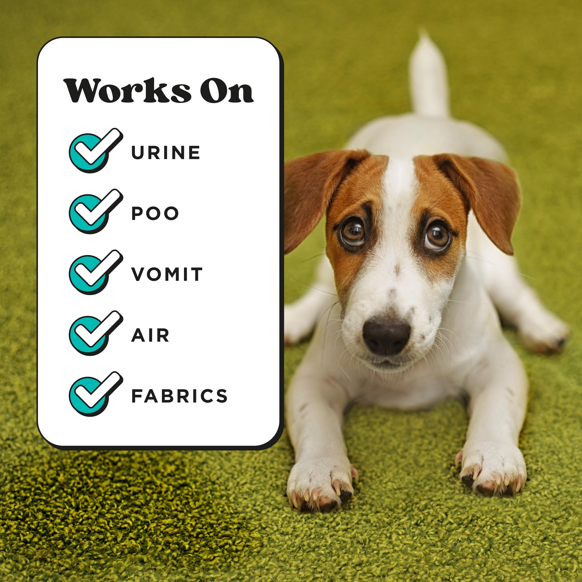 Pet-Pourri Pet Odor Air + Fabric Odor Eliminator Spray, Pawsitively Fresh, 16 Fl Oz