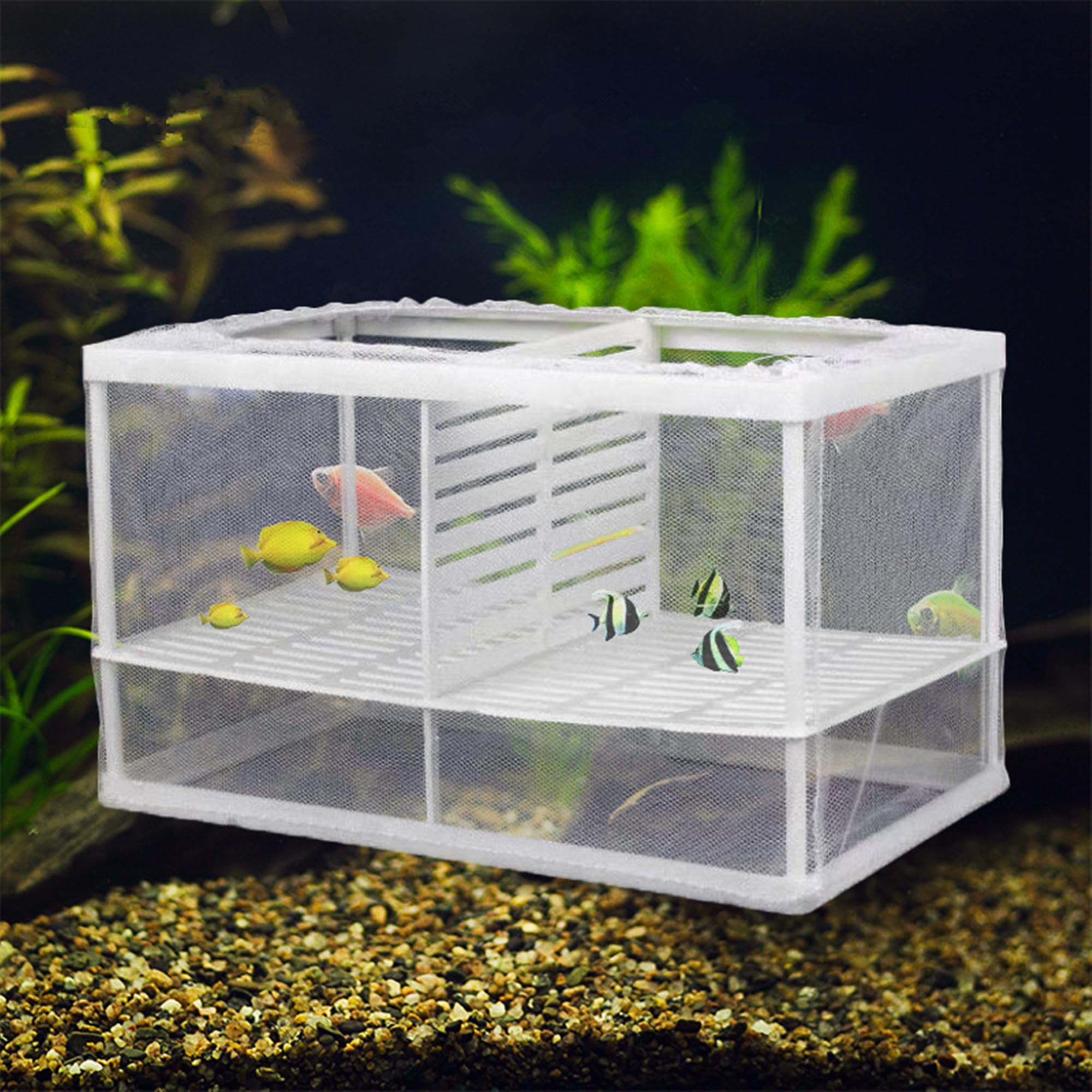 2 Pack Fish Tank Breeder Net Mesh Breeder Box, Aquarium Hatchery Breeder Box Separation Nettig, Plastic Frame Fish Breeding Box