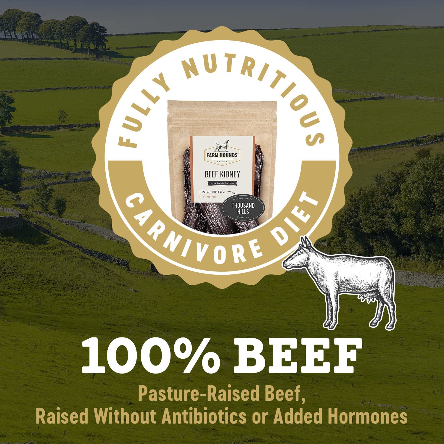 Farm Hounds - Beef Kidney - Premium Natural Beef Kidney Jerky For Dogs - Made From 100% Humanely Raised Cattle - Organ Treat - G
