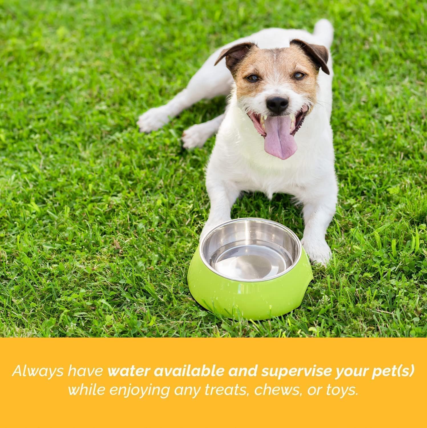 123 Treats Goat Horns for Dogs - (Large, 3 Count) Long Lasting Dog Treats for Aggressive Chewers, 100% Natural, Rich in Protein