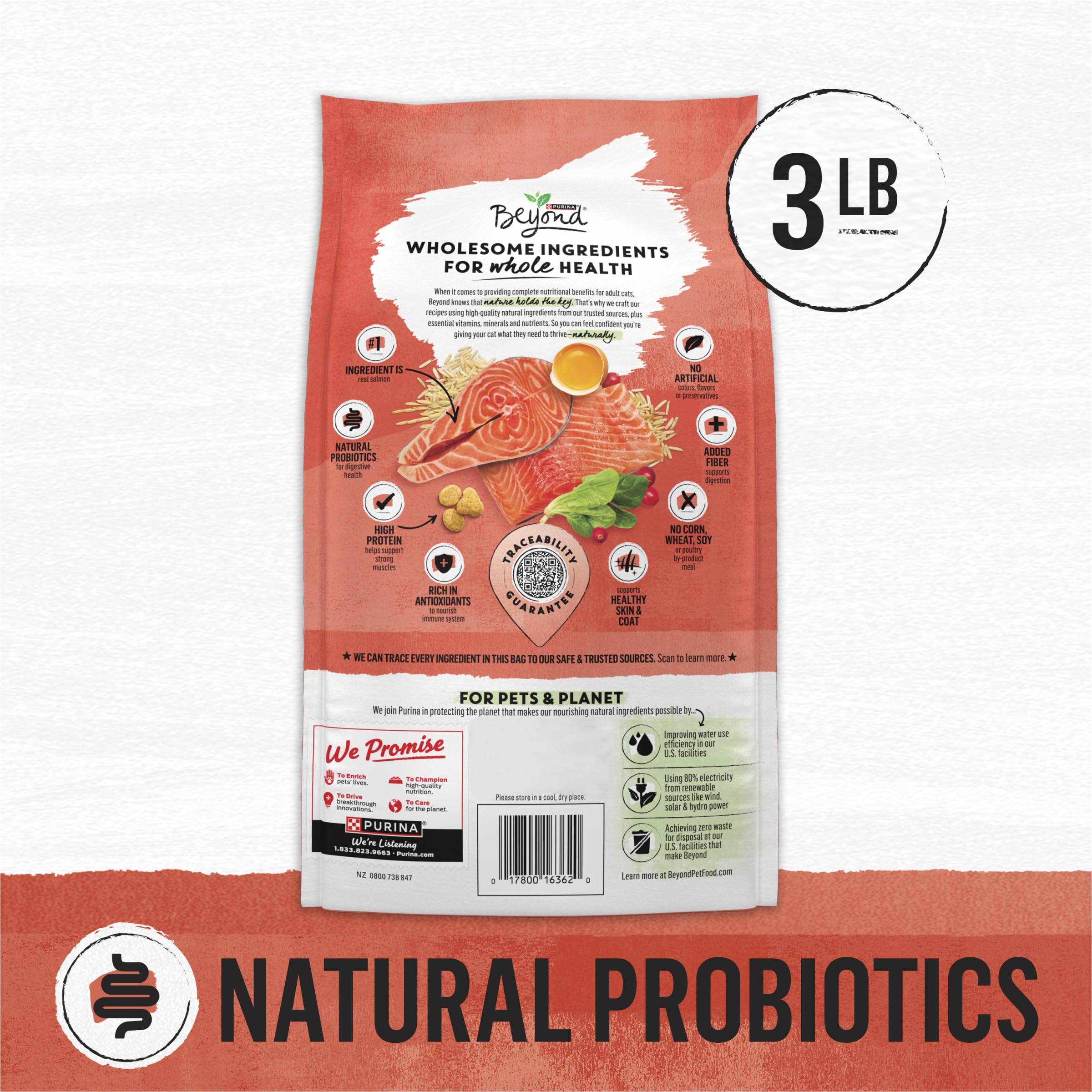 Purina Beyond Natural Wholesome Ingredients for Whole Health Dry Cat Food Salmon and Whole Brown Rice Recipe - 3 lb. Bag