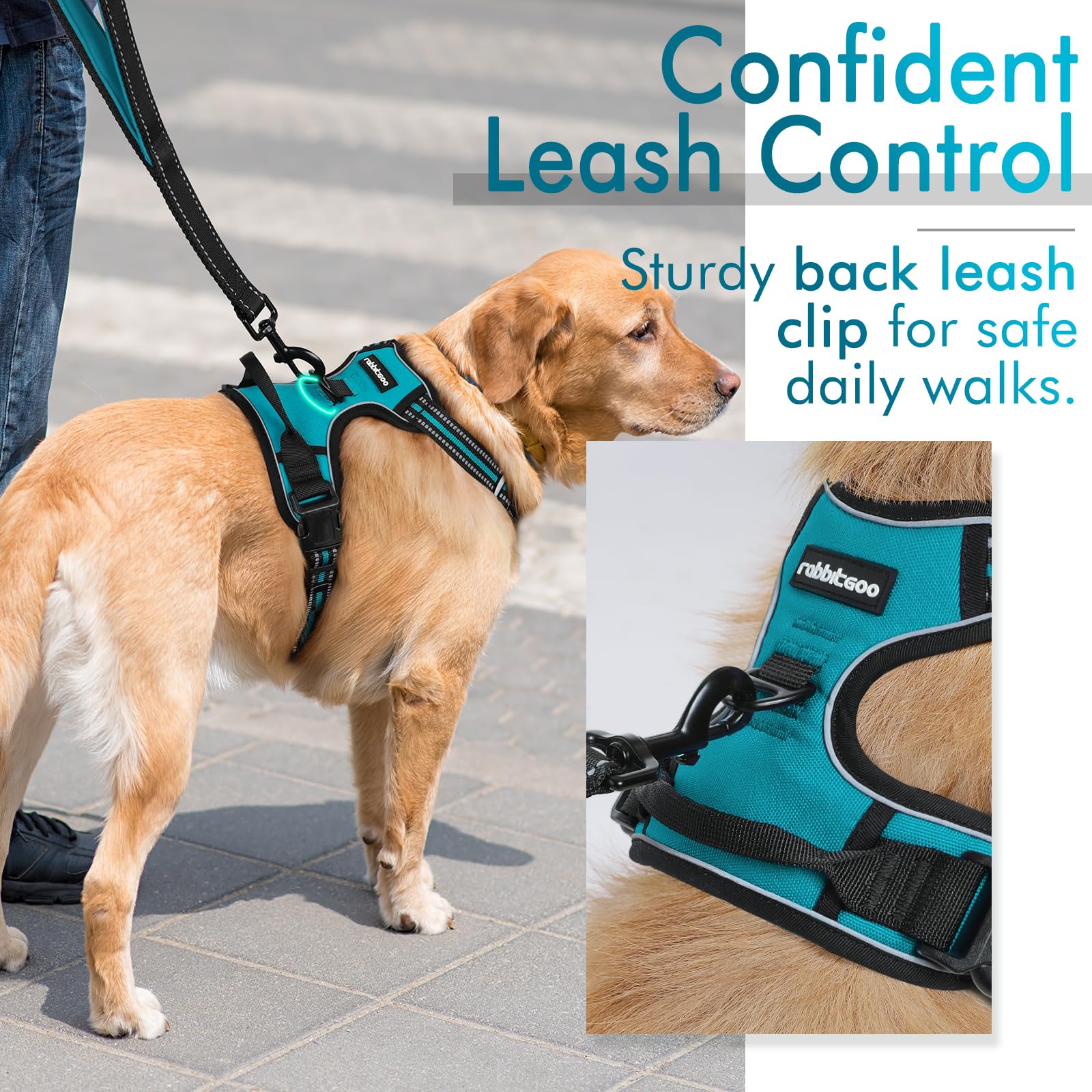 Rabbitgoo Dog Harness, No-Pull Pet Harness With 2 Leash Clips, Adjustable Soft Padded Dog Vest, Reflective No-Choke Pet Oxford Vest With Easy Control Handle For Large Dogs, Teal, Xl