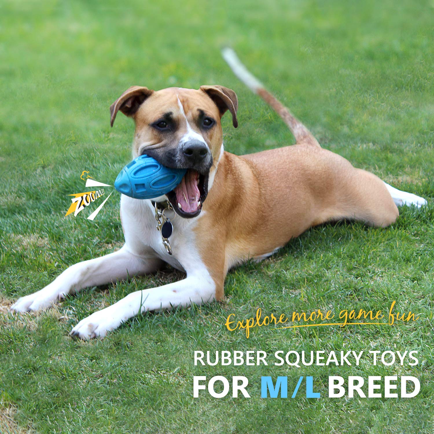 EASTBLUE Squeaky Dog Chew Ball - Indestructible Rubber Toy for Medium/Large Breeds - Blue