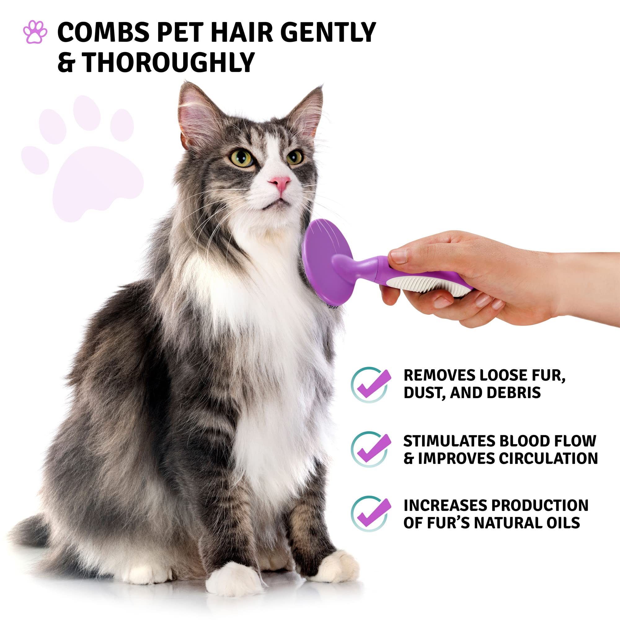 Round Bristle Pet Brush For Dogs And Cats - Soft Dog Brush For Grooming Short Or Long Hair - Gentle Tool For Sensitive Skin Remo