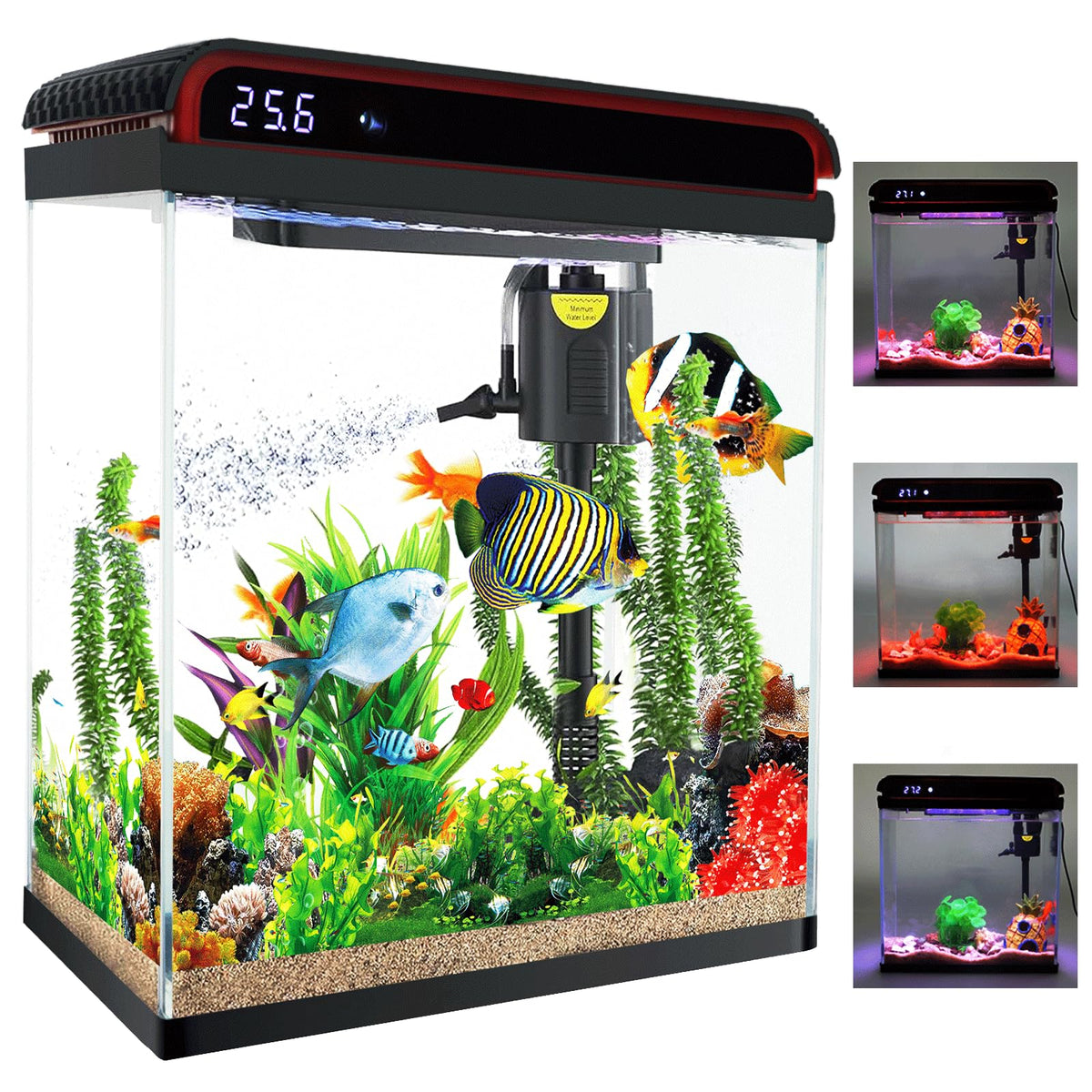 20 Gallon Fish Tank, Large Betta Tank With Glass Aquarium Starter Kits Self Cleaning With 3 Types Of Led Lights And Filter Water