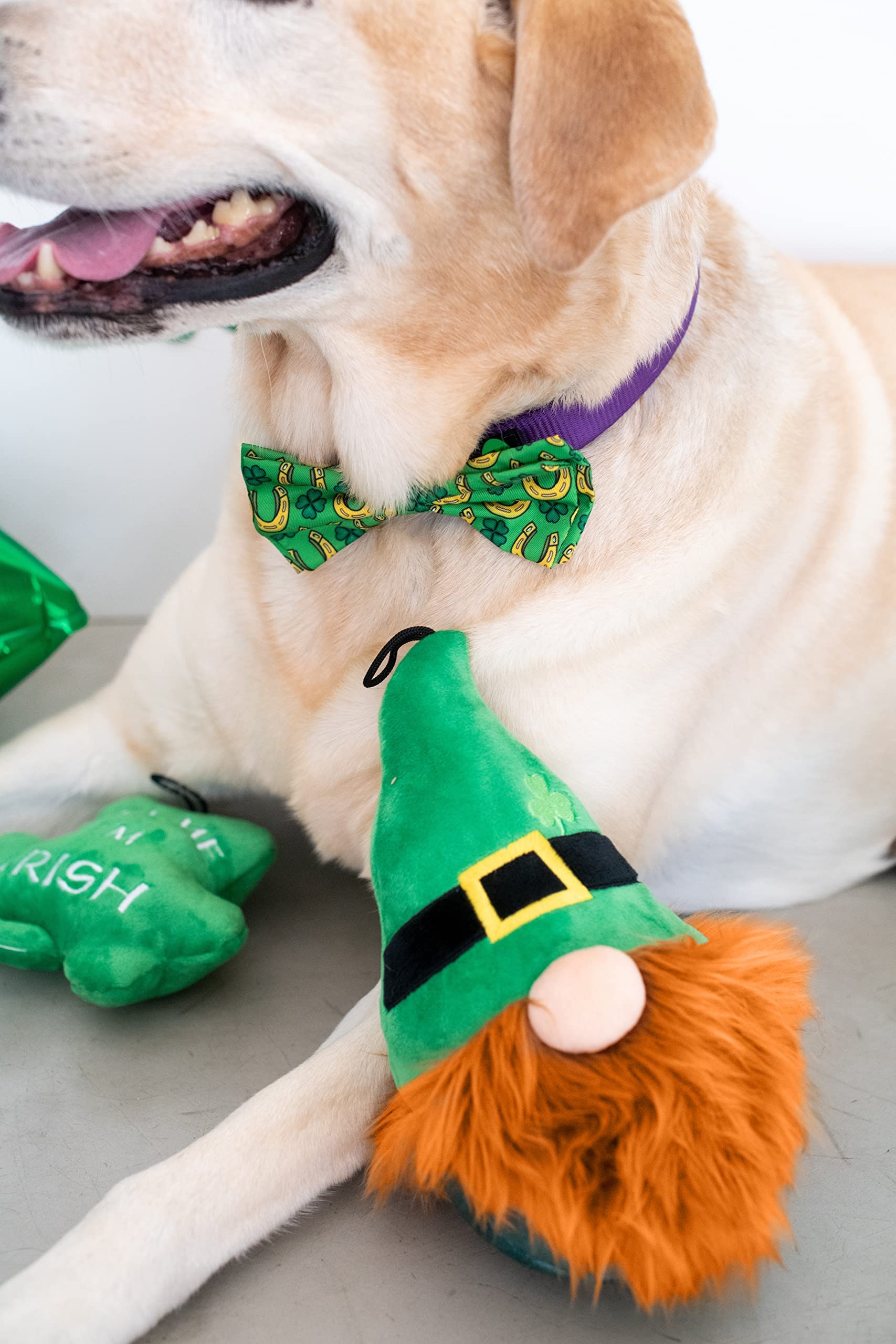 Huxley & Kent Bow Tie For Pets - Lucky Charm (Extra-Large) - St. Patricks Day Bow Tie Collar Attachment - Fun Bow Ties For Dogs