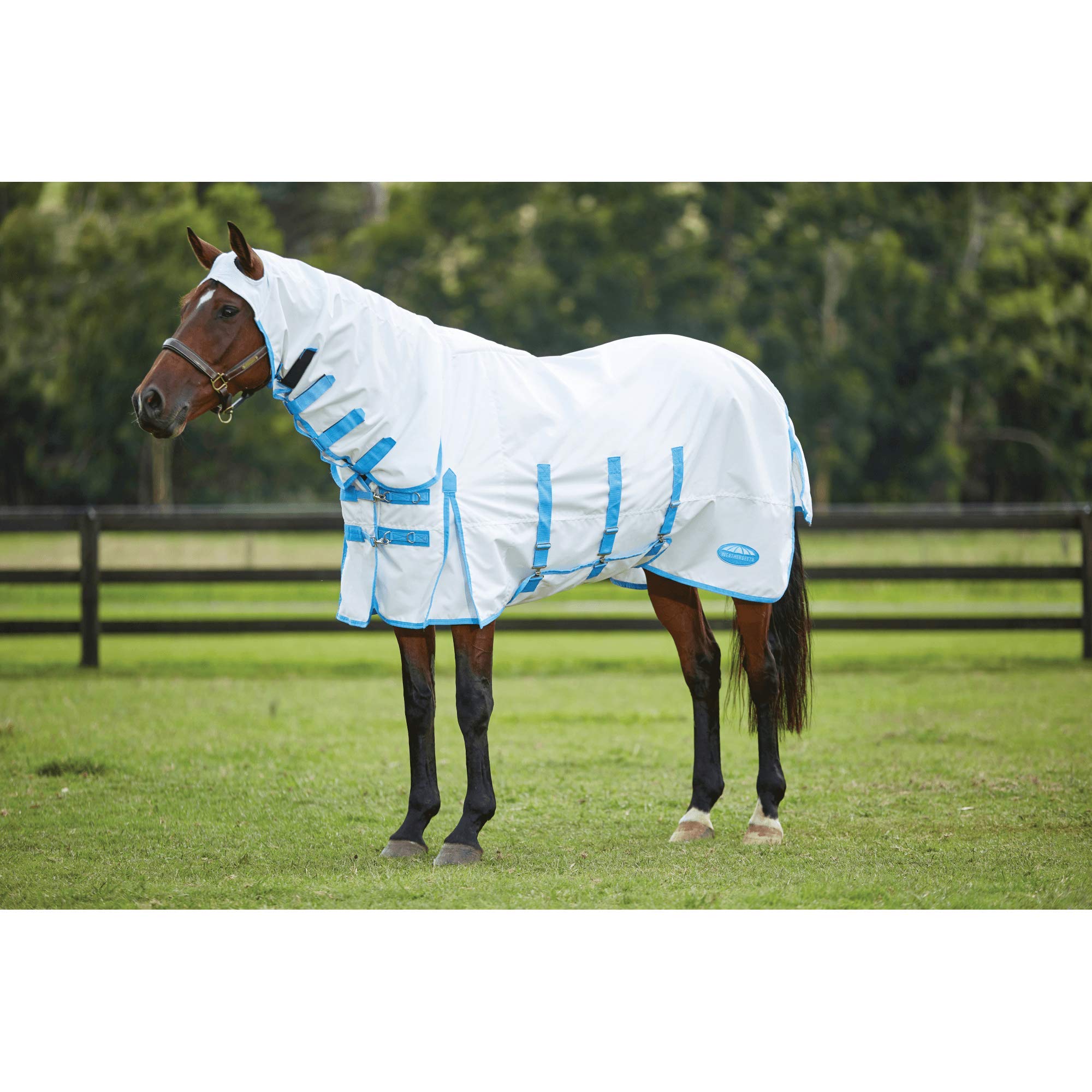 WeatherBeeta ComFiTec Sweet Itch Shield Combo Neck, White/Blue, 72