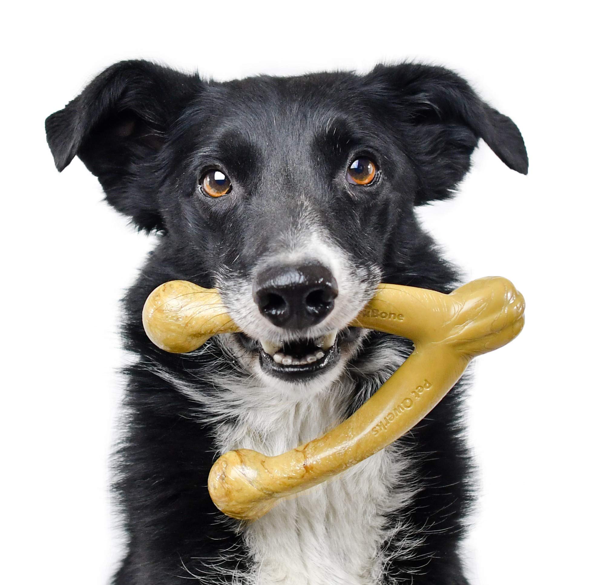 Pet Qwerks Wishbone Barkbone - Nylon Chew Toy For Aggressive Chewers - Peanut Butter Flavor - 6.75''