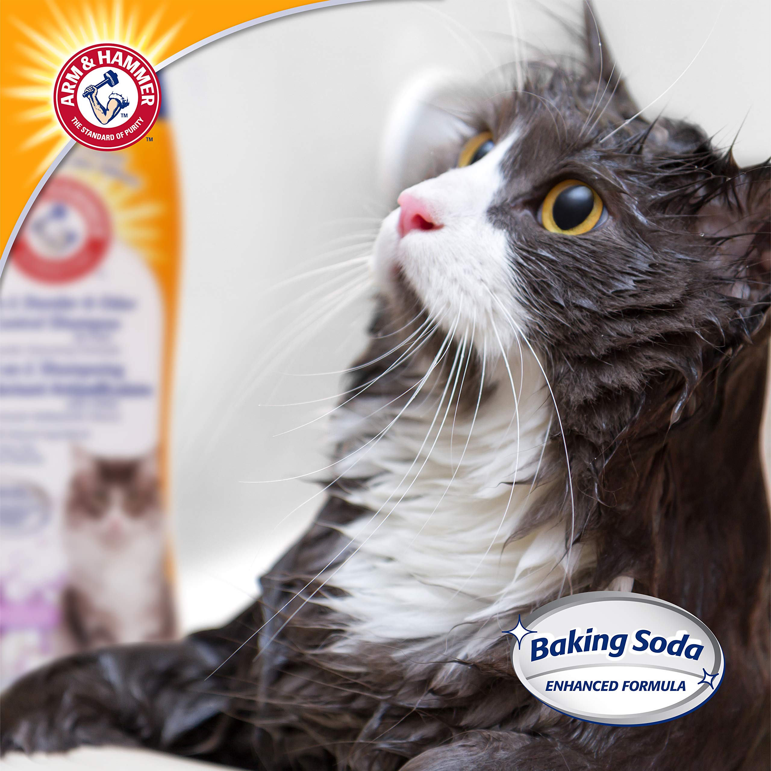 Arm & Hammer 2-In-1 Deodorizing & Dander Reducing Shampoo For Cats Cat Dander And Cat Odor Remover Baking Soda Moisturizes And D