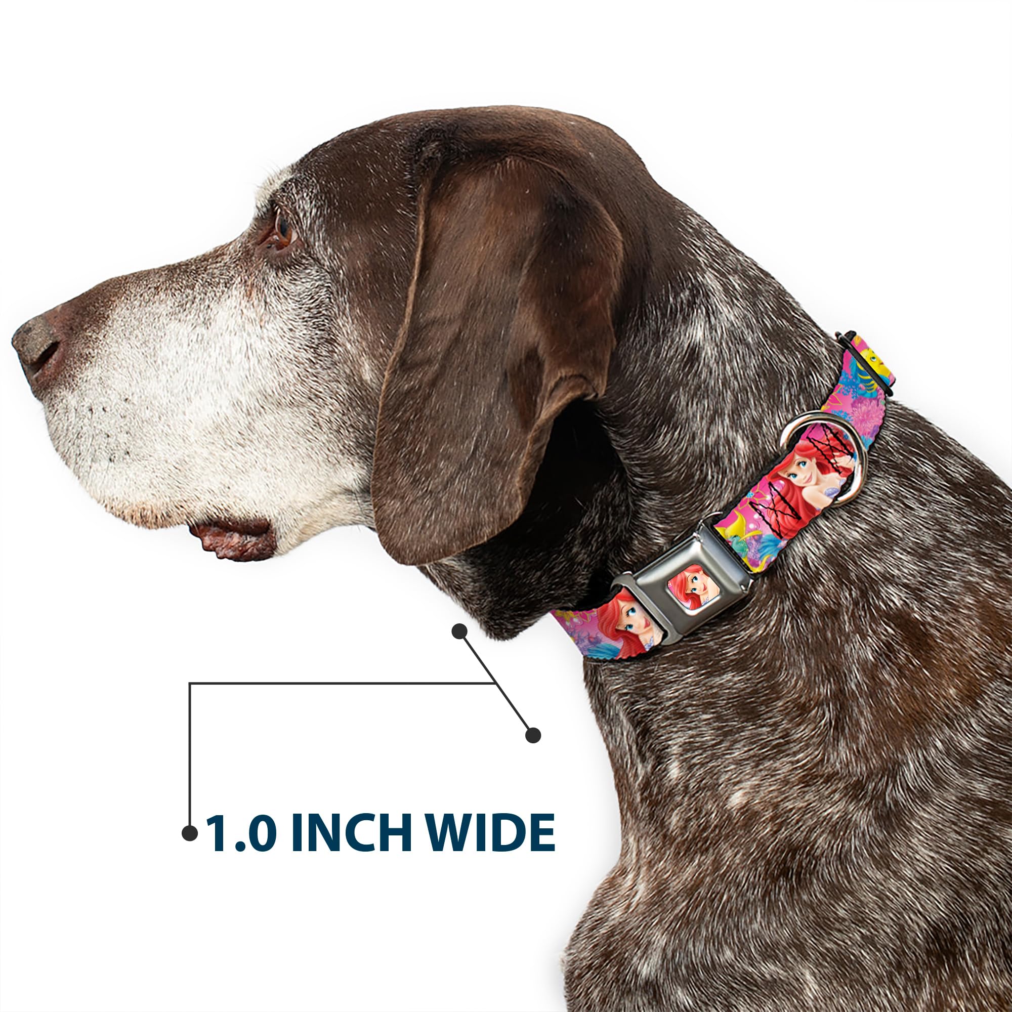 Buckle-Down Seatbelt Buckle Dog Collar - Ariel/Flounder/Fish Trio Poses Pinks - 1' Wide - Fits 11-17' Neck - Medium