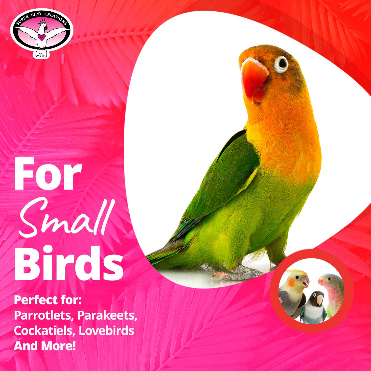 Super Bird Creations Sb541 Crinkle Crinkle Little Star Bird Toy - Small Bird Size, Parrotlets, Cockatiels, Lovebirds - Foraging & Chew Toy - Stimulating Bird Toy For Enrichment - 6' X 2'