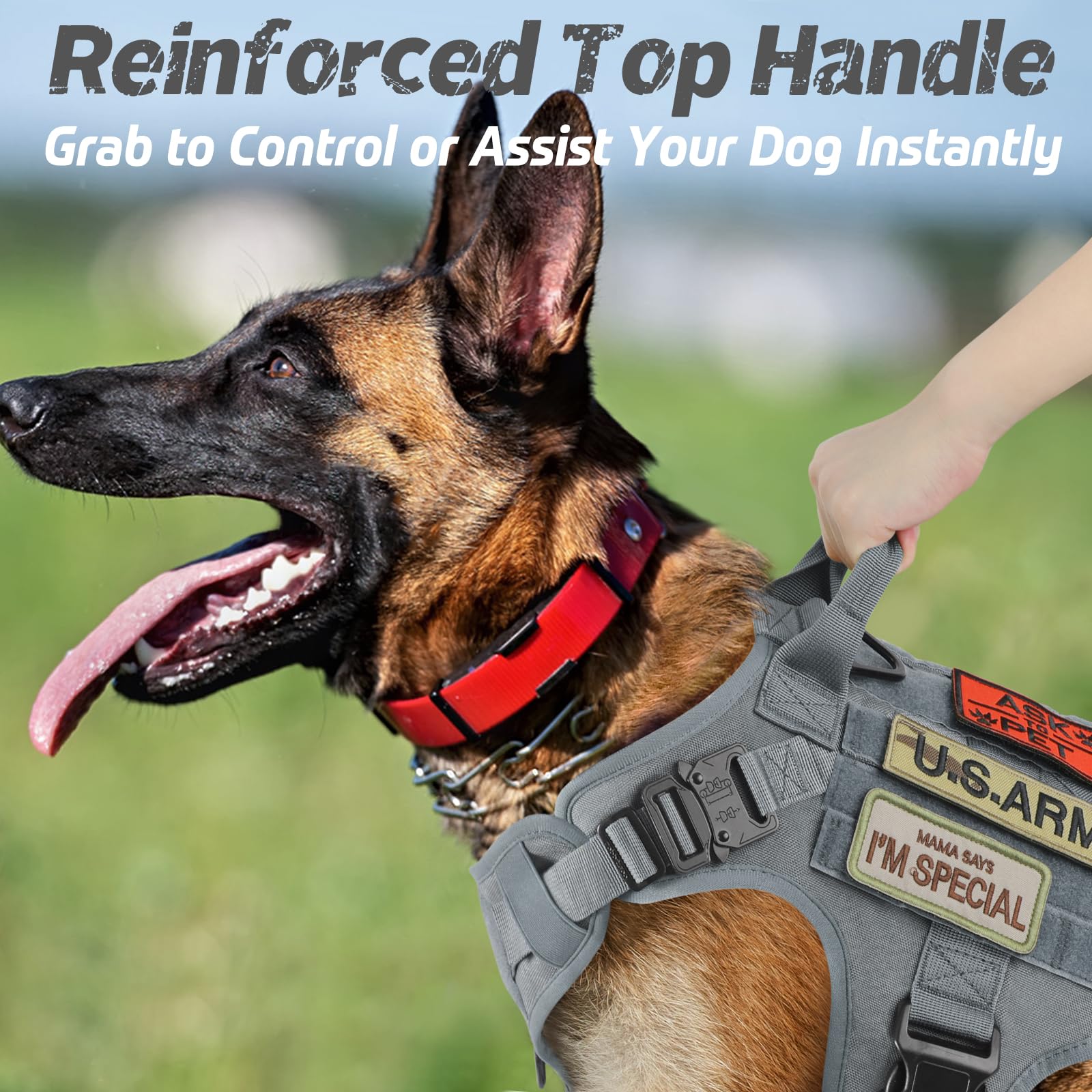 Rabbitgoo Tactical Dog Harness Medium Sized, Heavy Duty Pet Harness With Handle, No-Pull Service Vest Medium Breed, Adjustable M
