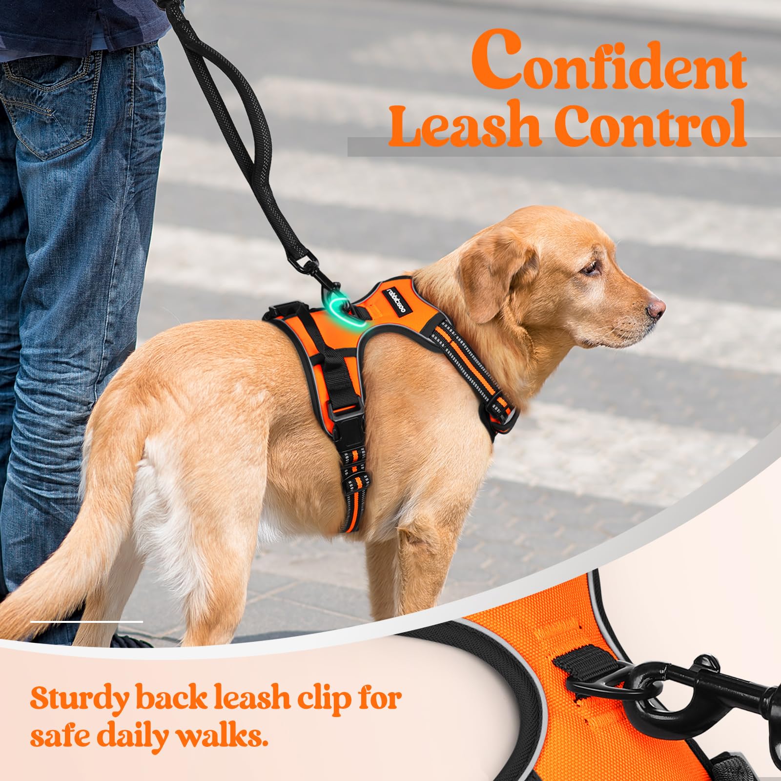 Rabbitgoo Dog Harness No Pull With 2 Leash Clips, Adjustable Soft Padded, Reflective Oxford No Choke Pet Vest With Easy Control Handle For Large Dogs, Orange, Xl