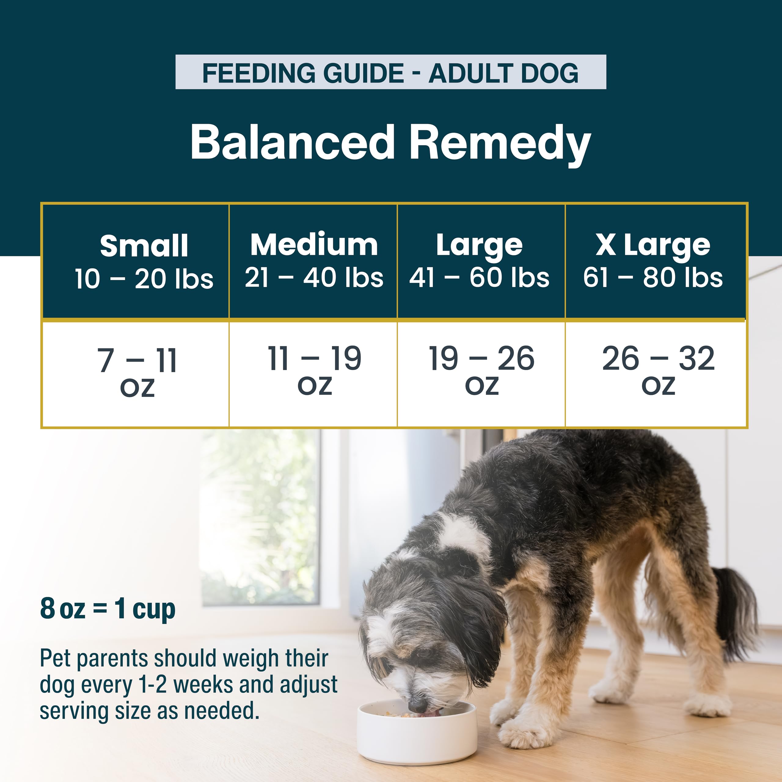 JustFoodForDogs Pantry Fresh Wet Dog Food, Complete Meal or Dog Food Topper, for Sensitive Stomachs, Balanced Remedy Human Grade