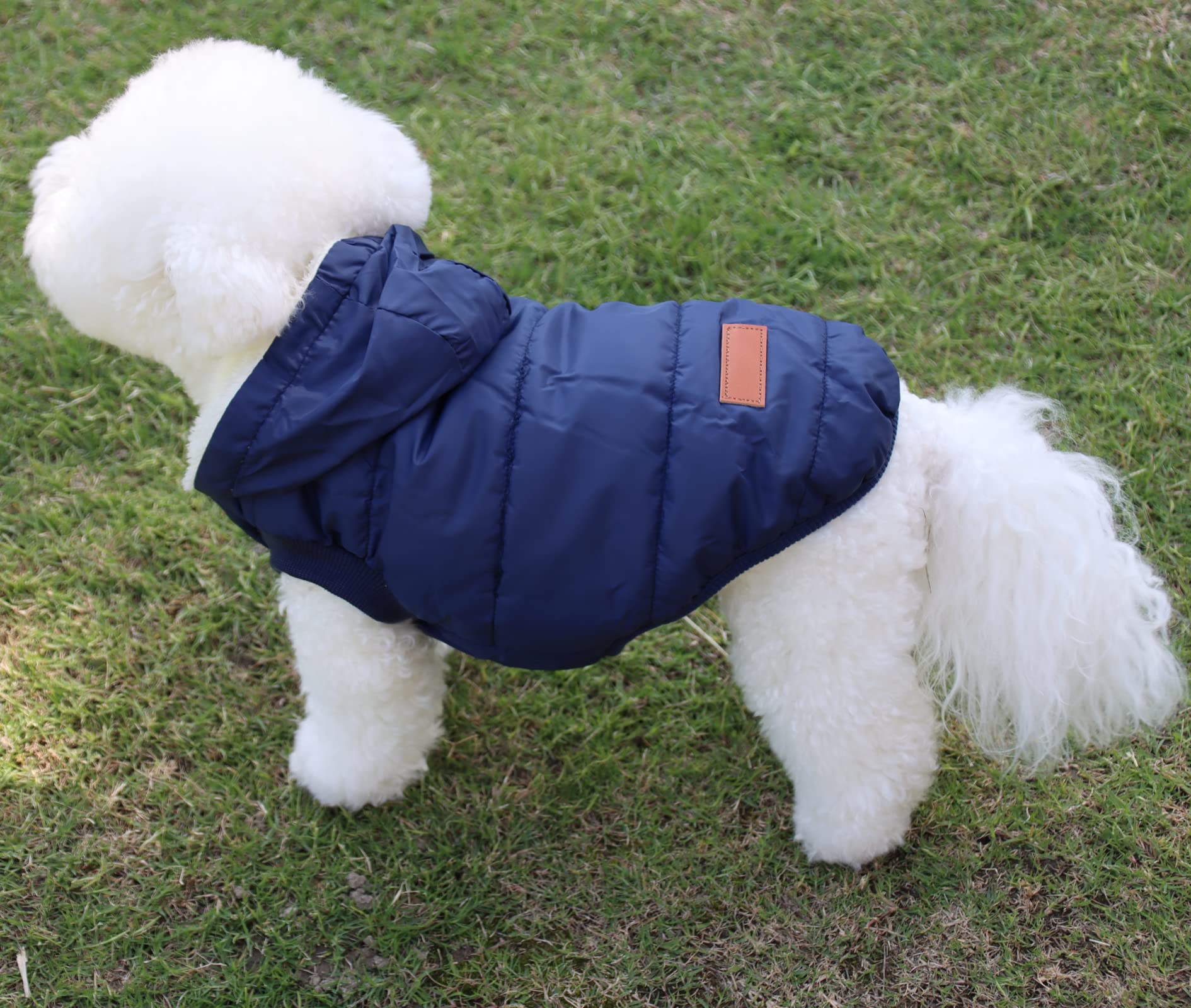 Vecomfy Fleece Lining Extra Warm Dog Hoodie In Winter For Small Dogs Jacket Puppy Coats With Hooded,Blue M