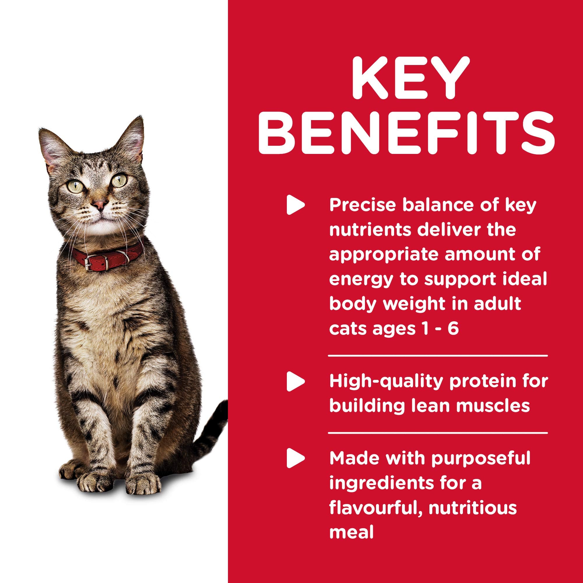 Hills Science Diet Healthy Cuisine, Adult 1-6, Great Taste, Wet Cat Food, Seared Tuna & Carrot Stew, 2.8 oz Can, Case of 24