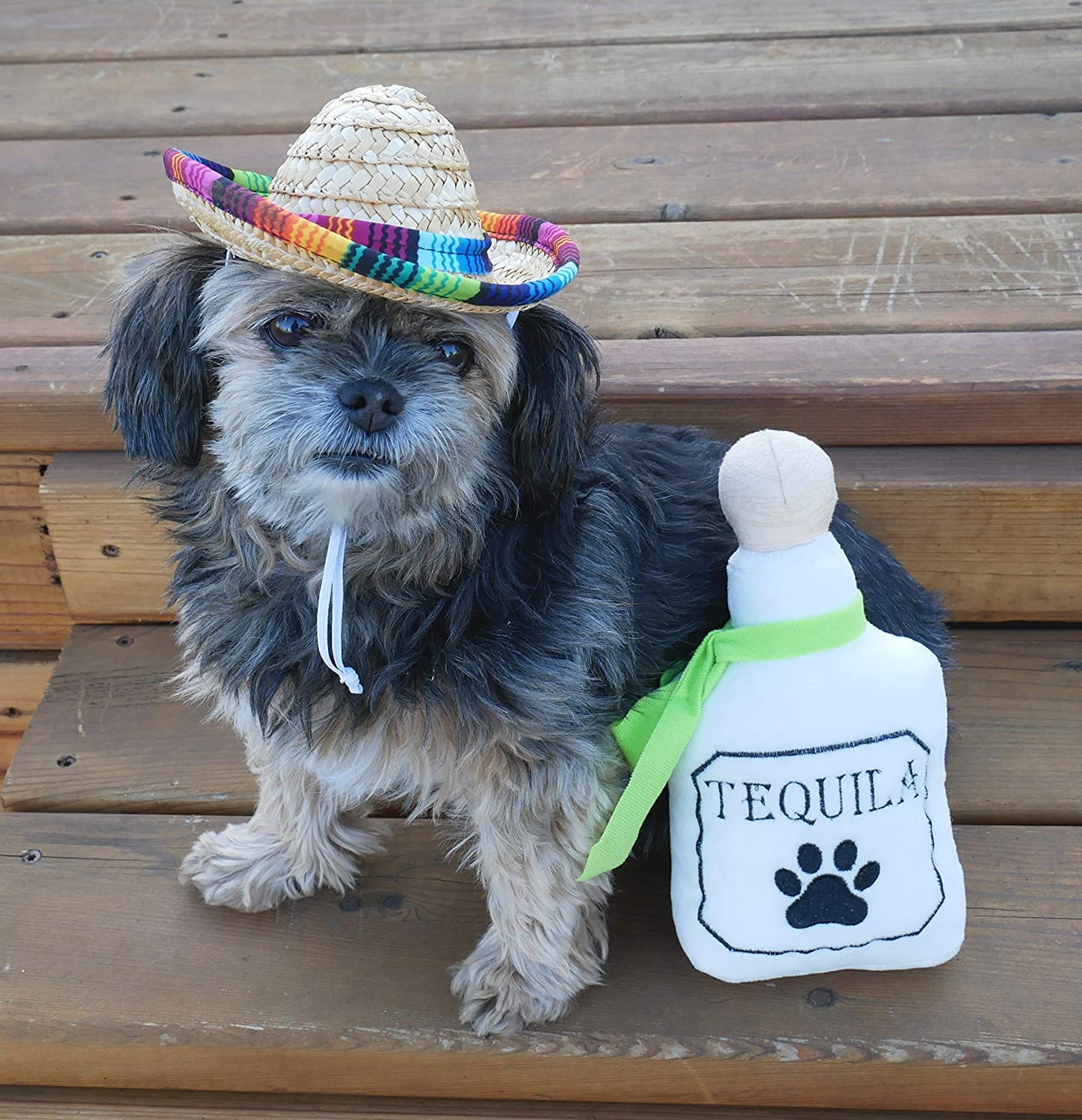 Baja Ponchos 4 Pack Fiesta Dog Chew Toys And Sombrero - Mexican Squeak Plush Toys - Dog Gifts For Chihuahuas - Taco - Tequila -