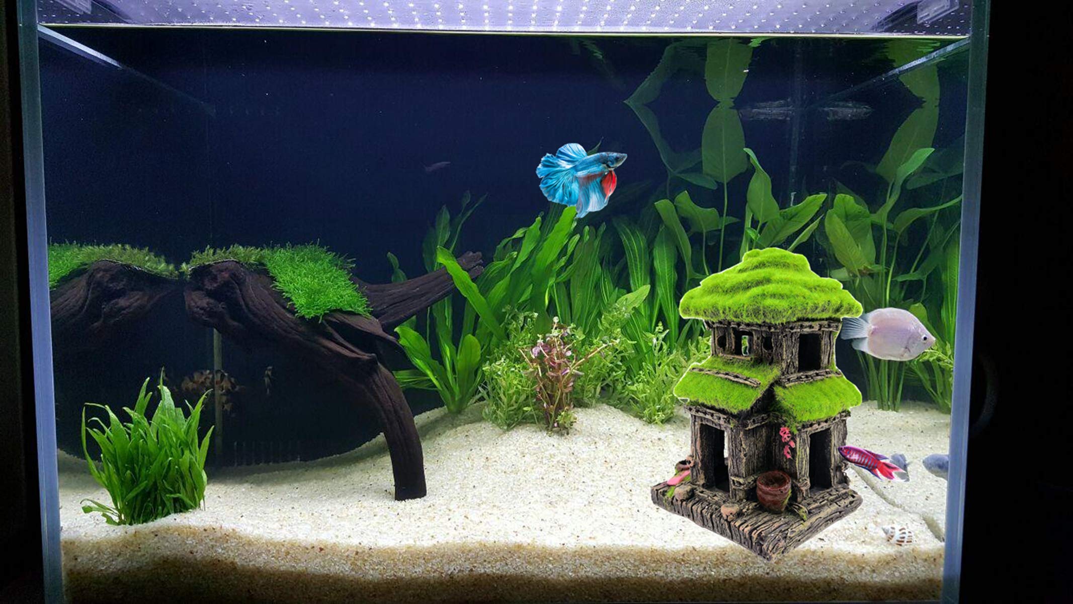 M2Cbridge Aquarium Decorations Fish Hideout House Betta Cave With Green Lifelike Moss (Style 3)
