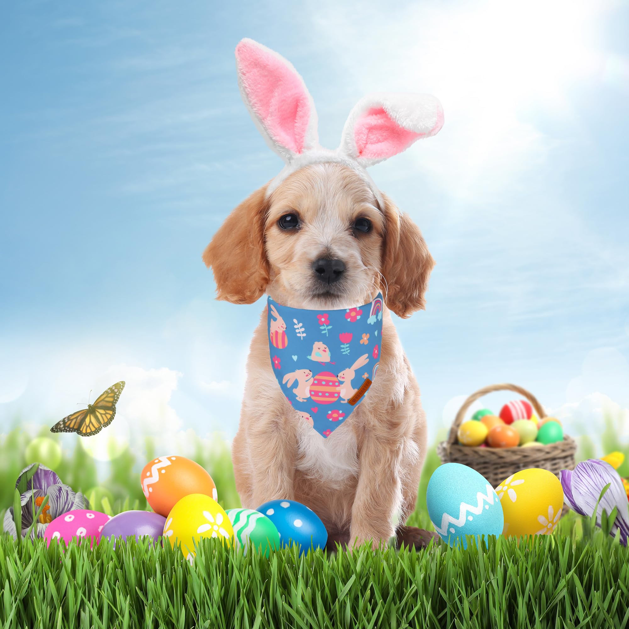 ADOGGYGO Easter Dog Bandanas, Rabbit Carrot Puppy Scarf, Multi Size Offered, Orange Blue Easter Bandana for Small Dogs Pets (Sma