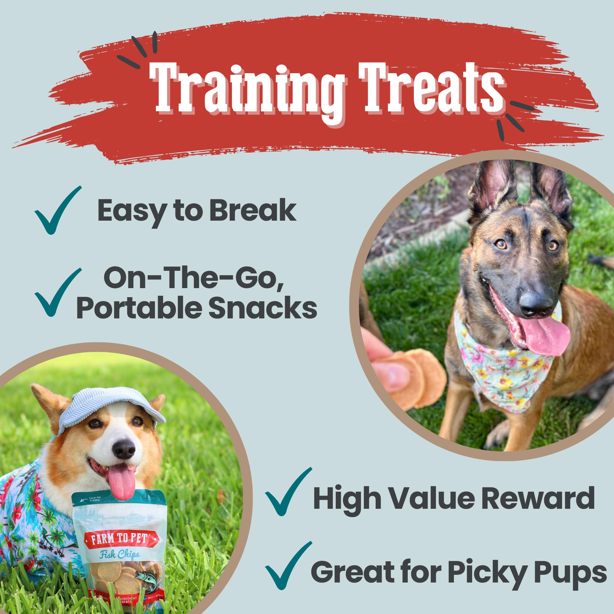 Farm To Pet - Dog Training Treats - 12 oz Fish Chips, Single Ingredient, Lean, All Natural, Healthy Treats for Small, Medium, La