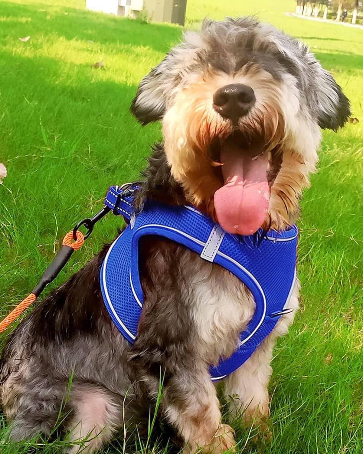 Joytale Small Dog Harness, Breathable Mesh Step-In Vest, Reflective Soft Padded Harnesses For Small And Medium Dogs, Navy Blue,