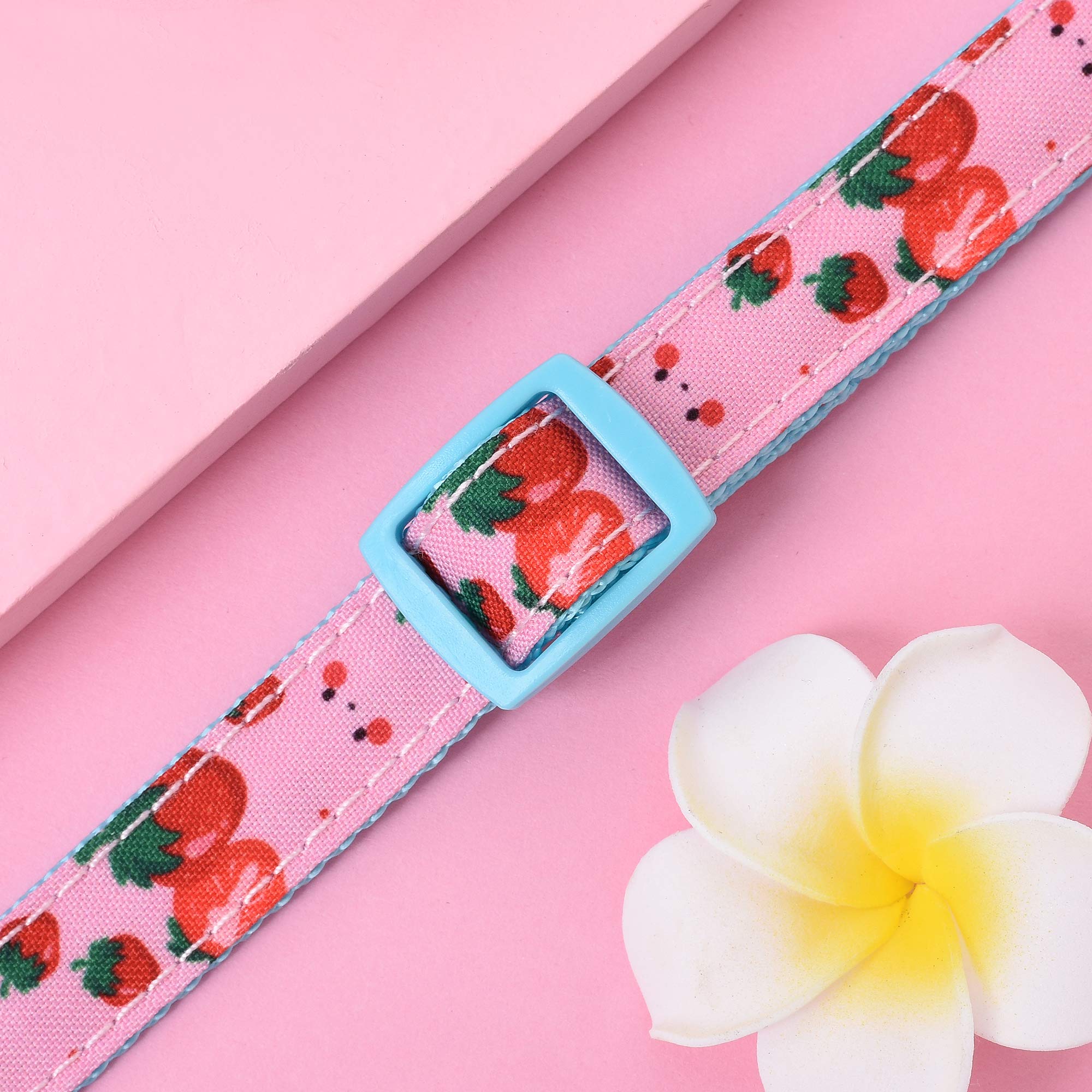 Mile High Life | Girl Dog Collars | Cute Dog Collar Lightweight | Soft Poly Cotton Fabric Collars For Medium Dogs | Flower & Fru