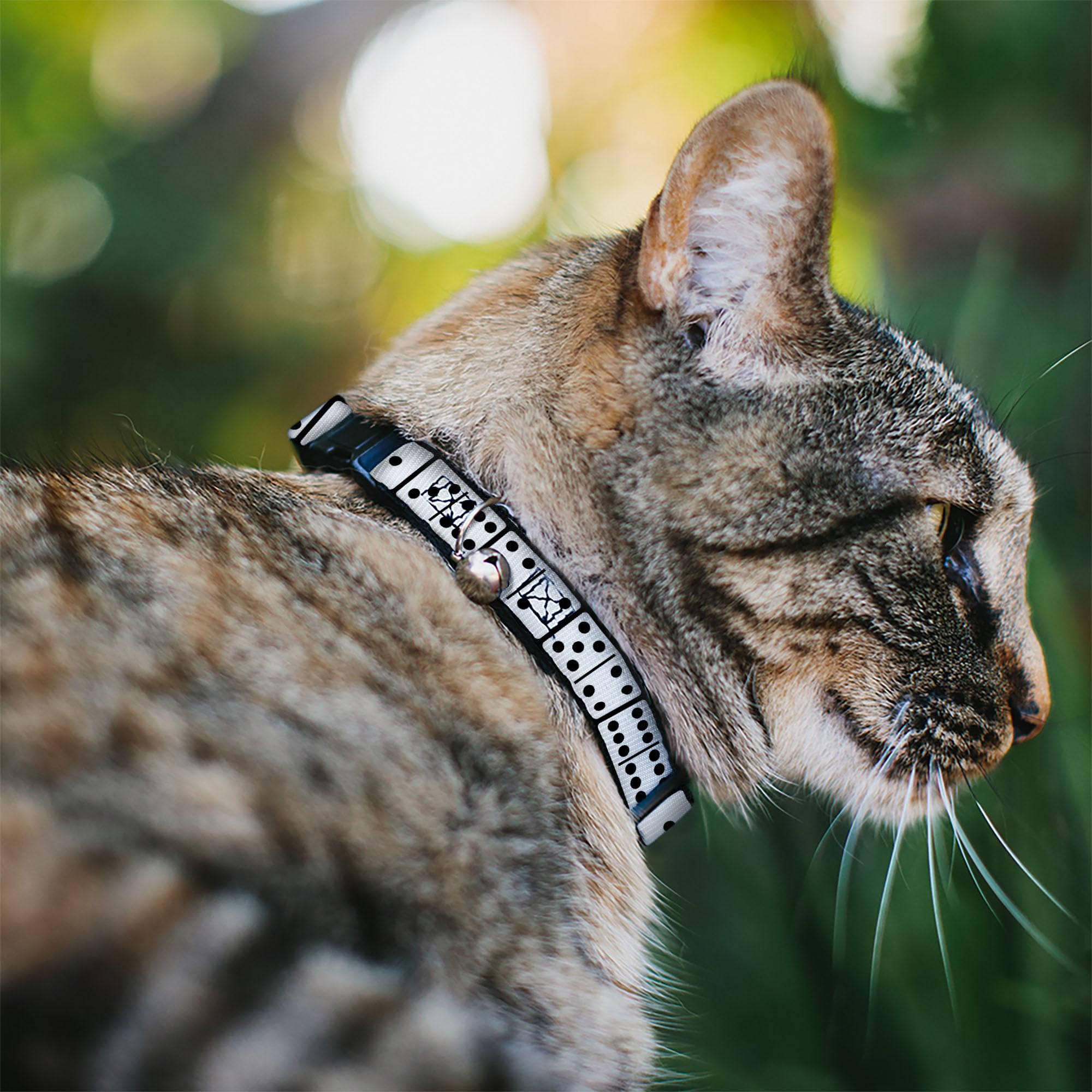 Buckle-Down Breakaway Cat Collar, 0.5" Wide, Fits 8-12" Neck, Multicolor Dominoes, Model BAC-W30488-NM