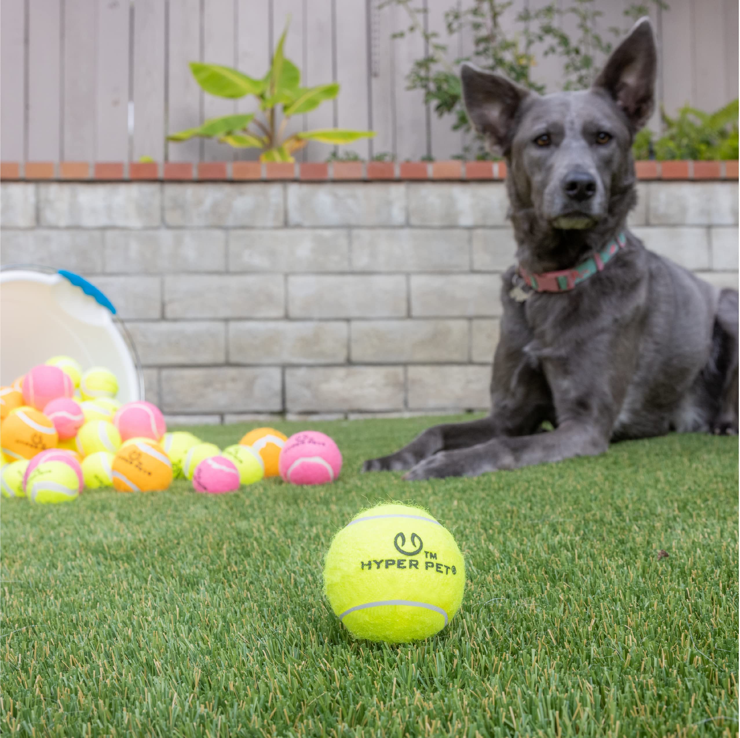 Hyper Pet Tennis Balls For Dogs (Pet Safe Dog Ball Dog Tennis Balls For Exercise & Training) Dog Ball Interactive Dog Toys Work
