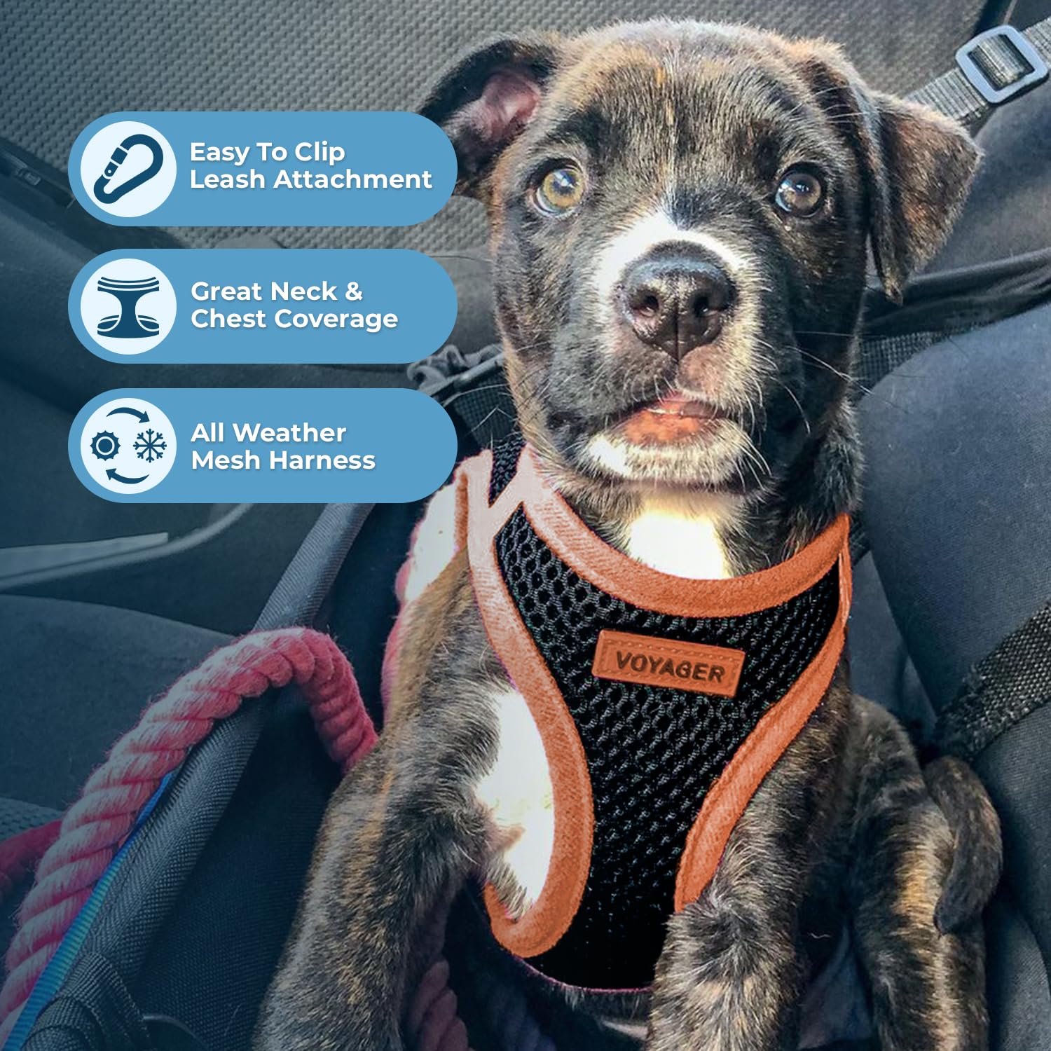 Voyager Step-In Air Dog Harness - All Weather Mesh Step In Vest Harness For Small And Medium Dogs By Best Pet Supplies - Orange Trim, Xl