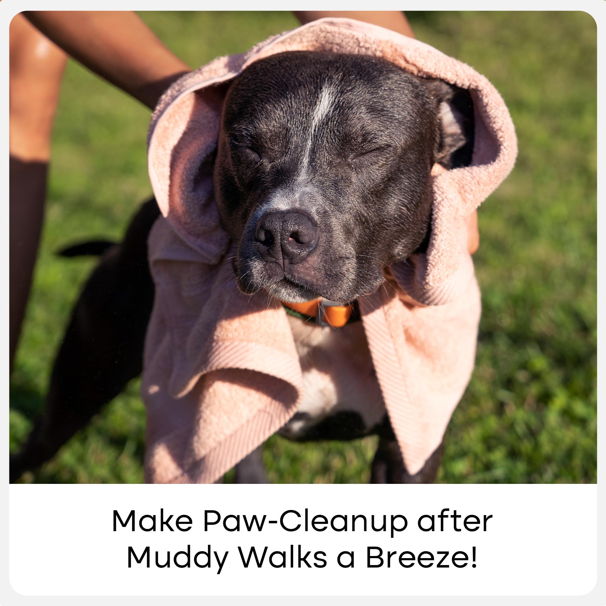 Uproot Clean Dog Paw Cleaner - No-Rinse Paw Cleaner for Dogs - Easy Dog Foot Washer with Bristle Brush - Fragrance-Free Foot Scr