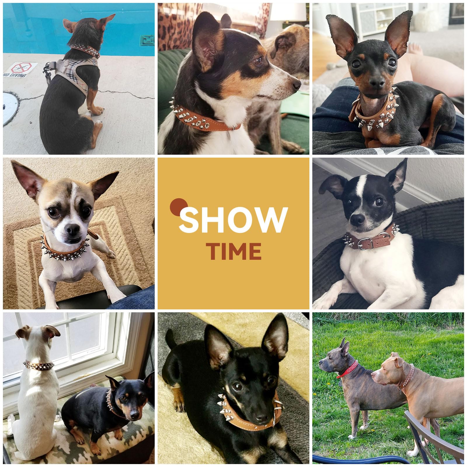 Petcare Spiked Dog Collar Brown Soft Pu Leather Funny Mushrooms Rivet Spike Studded Puppy Collar Adjustable Outdoor Pet Dog Coll