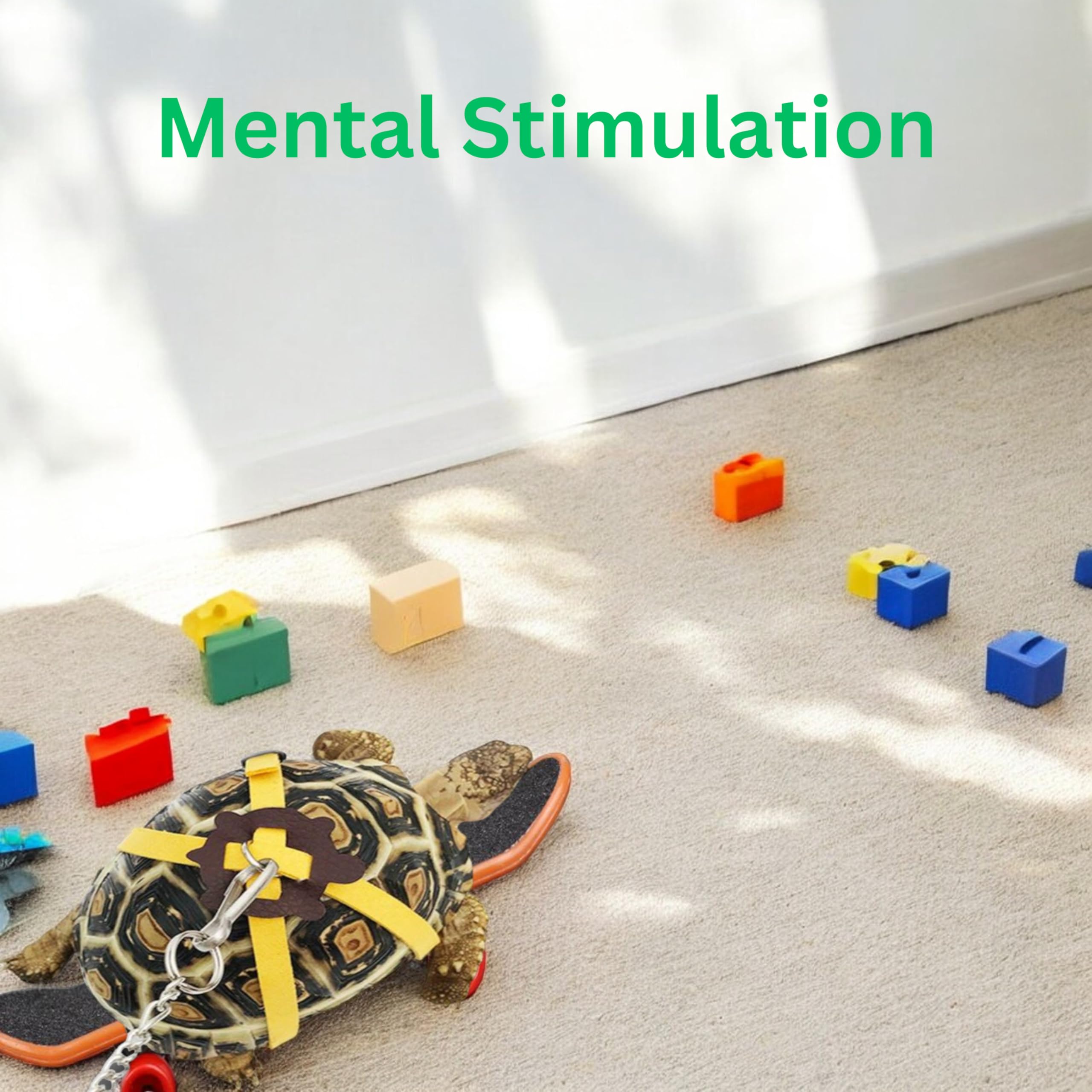 Tortoise Harness And Leash With Mini Skateboard For Turtle, Tortoise, Bearded Dragon Lizard, Turtle Harness (Black With Bell, Sm