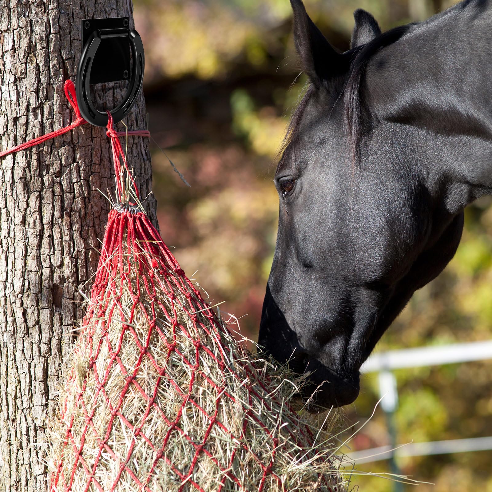 Zhengmy 4 Set Tie Ring For Horses Solid Steel With 3 X 3 Inch Expansion Screws, Horseshoe Cross Ties Down For Horse Tack Stall S