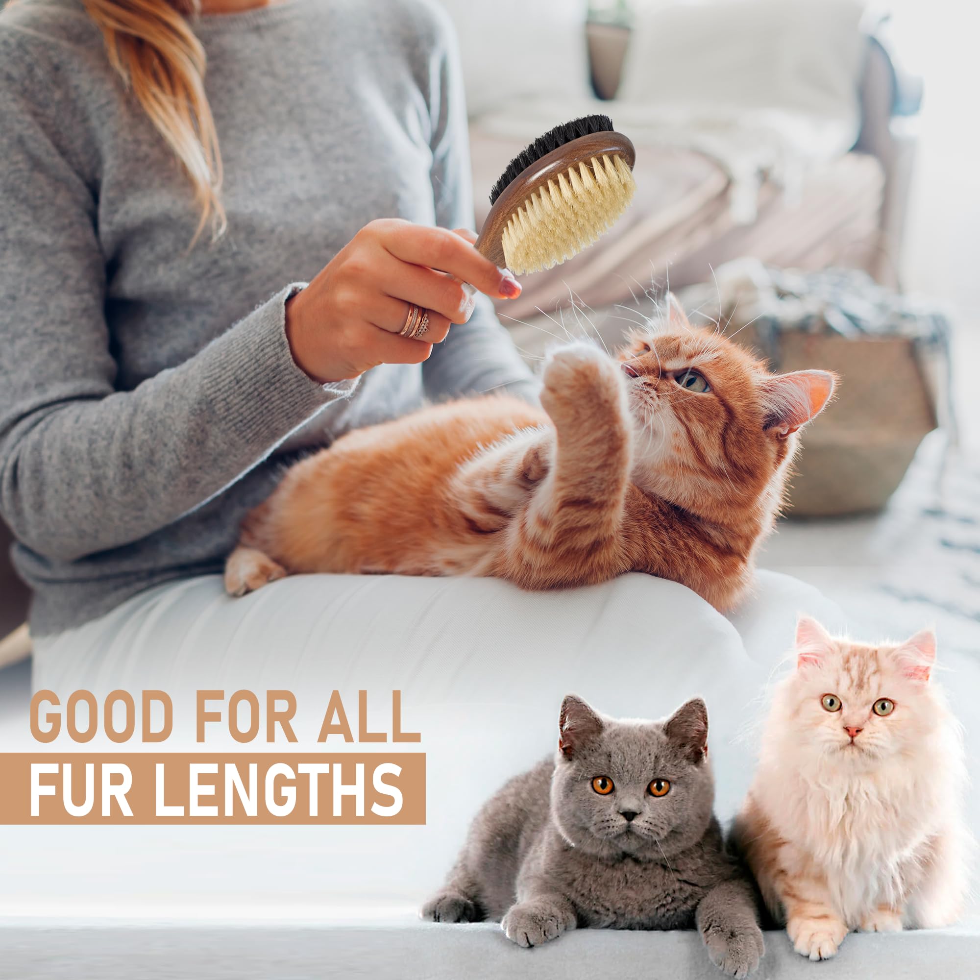 Takavu Double-Sided Boar Bristle Cat Brush - Natural Grooming Tool For Gentle Cleaning, Shine & Reduced Loose Hair - Wood Handle