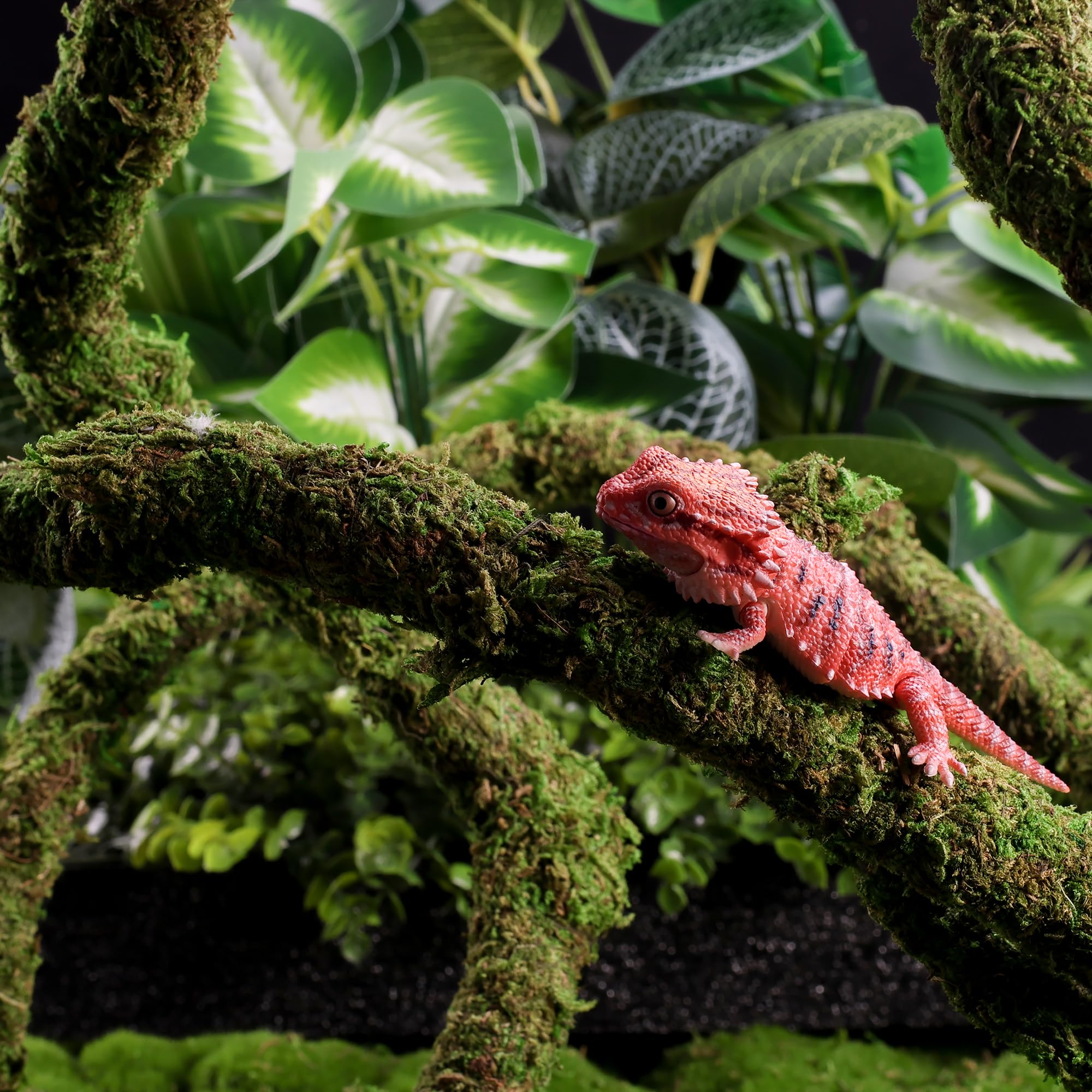 USMOLA Moss Vine for Reptiles, Bendable Climbing Vines Reptile Tank Accessories, Natural Moss Rope for Leopard Gecko, Lizard, Sn